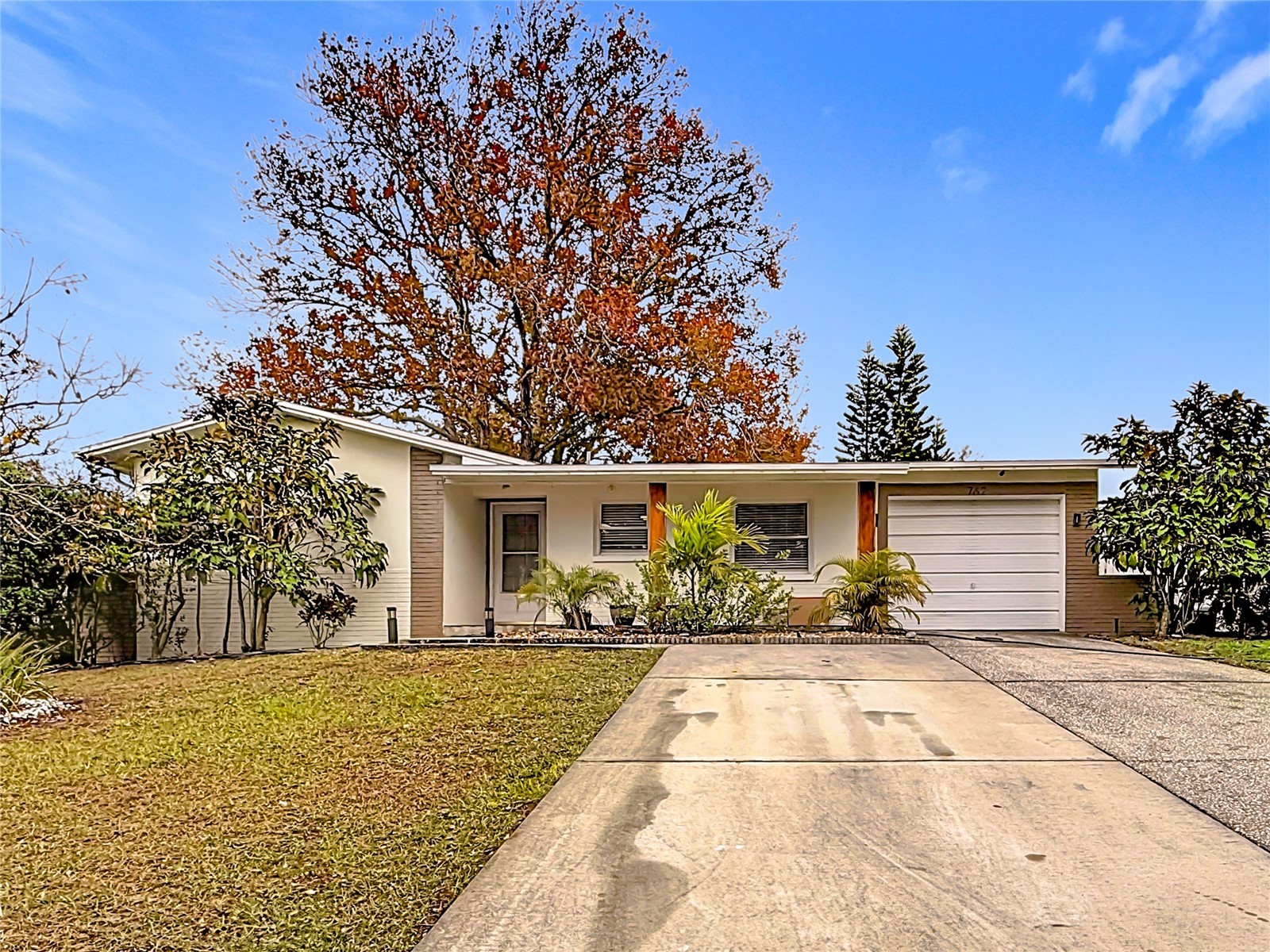 762 Barbara Street Palm Harbor FL 34684 S5142700 image7