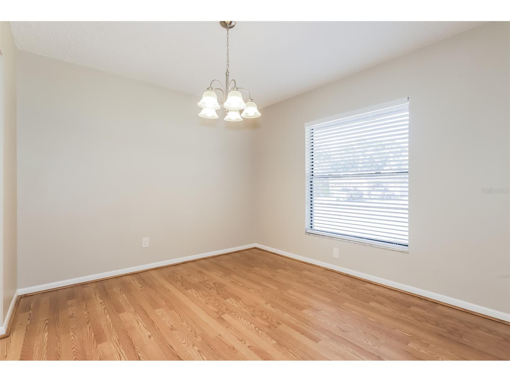 762 Isleton Drive Brandon FL 33511 C7527796 image3