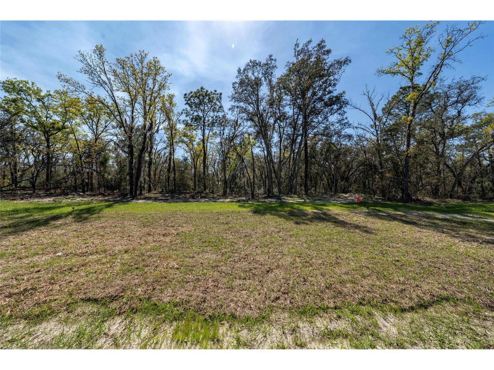 762 Marion Oaks Manor Ocala FL 34473 O6394352 image30