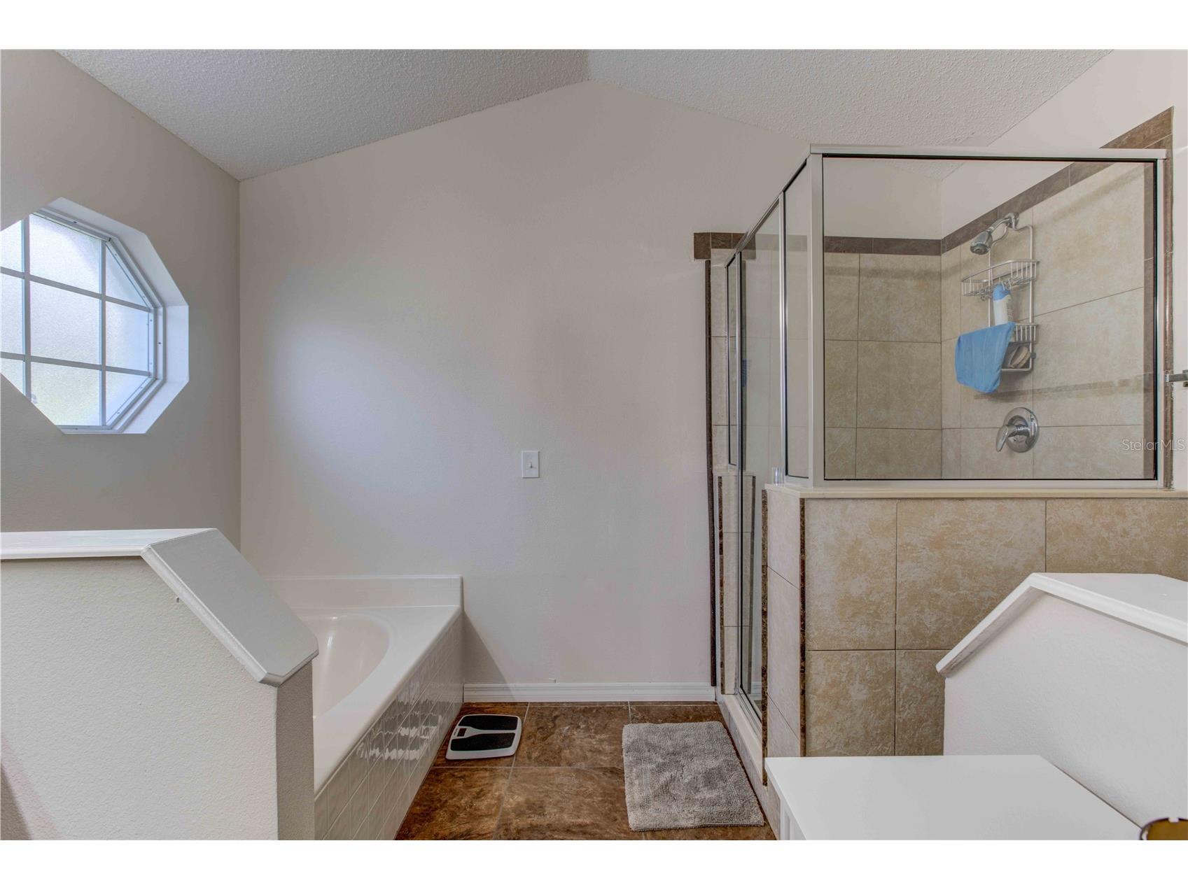 762 Toulon Drive Kissimmee FL 34759 O6374041 image7