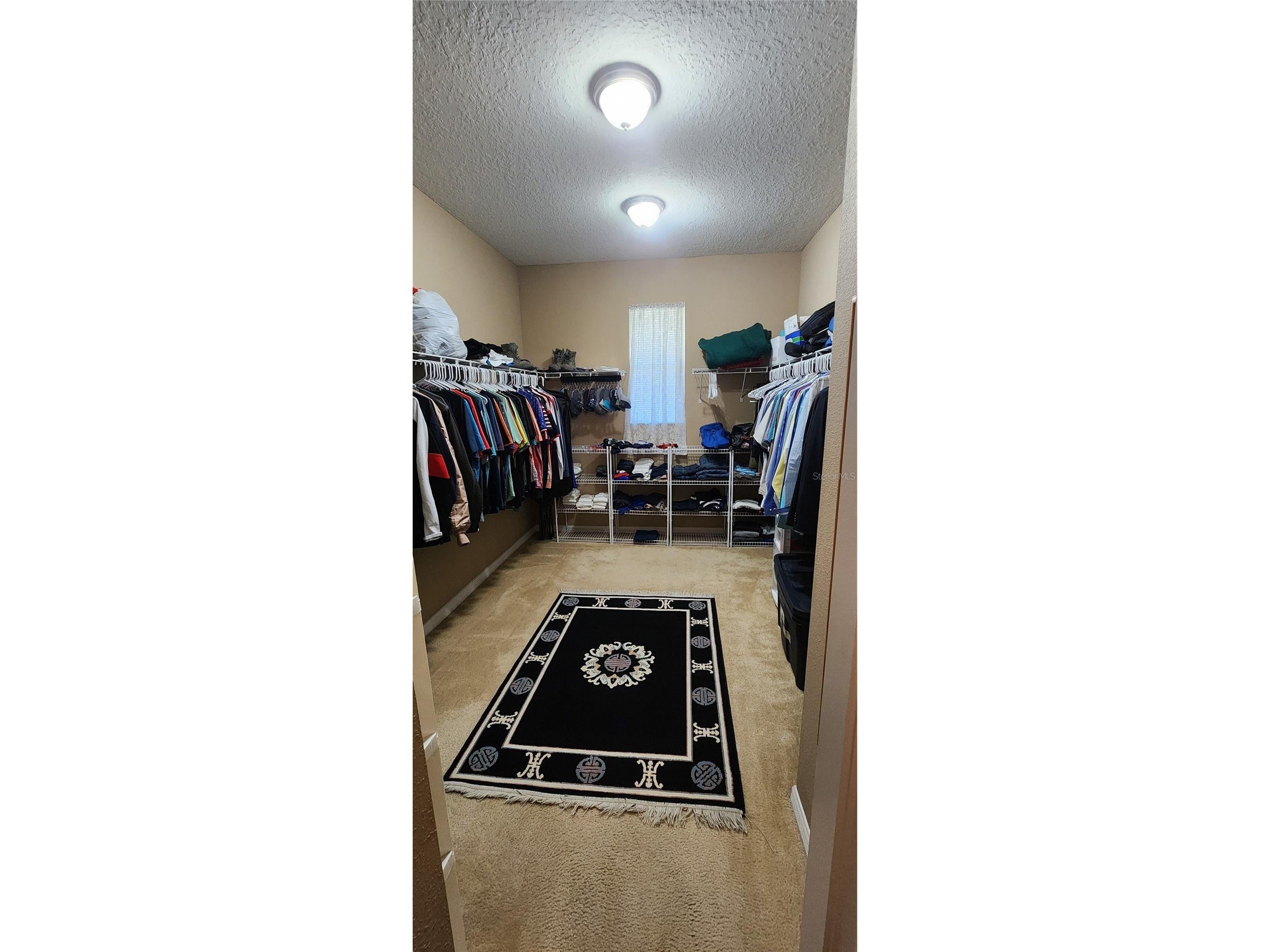 7620 Tangle Rush Drive Gibsonton FL 33534 O6315859 image11