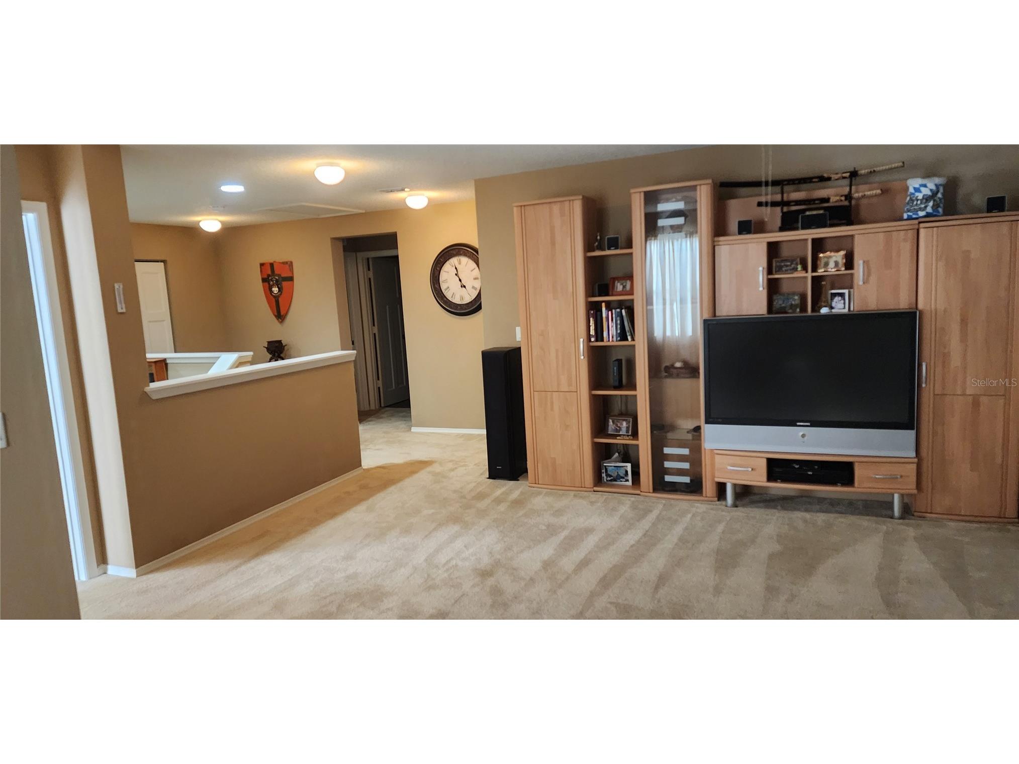 7620 Tangle Rush Drive Gibsonton FL 33534 O6315859 image8