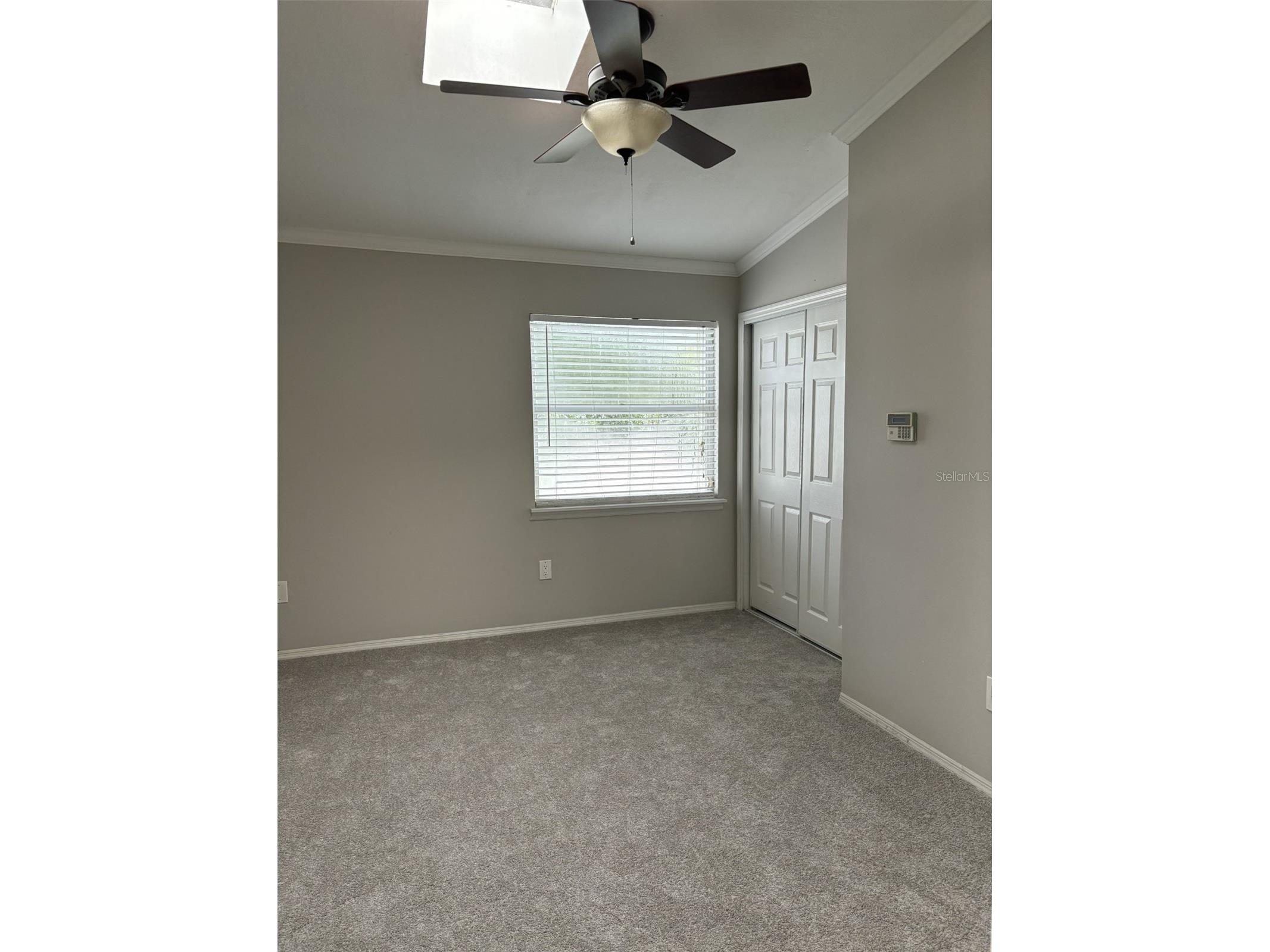 7621 Colonial Court Tampa FL 33615 TB8499698 image11