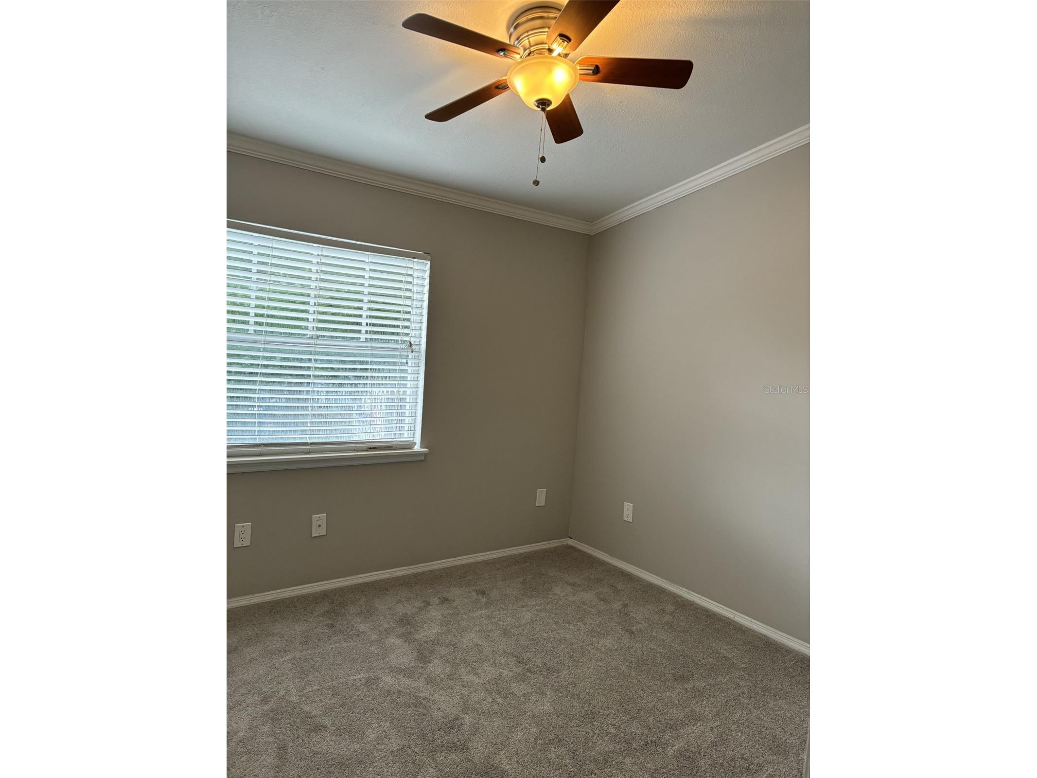 7621 Colonial Court Tampa FL 33615 TB8499698 image16
