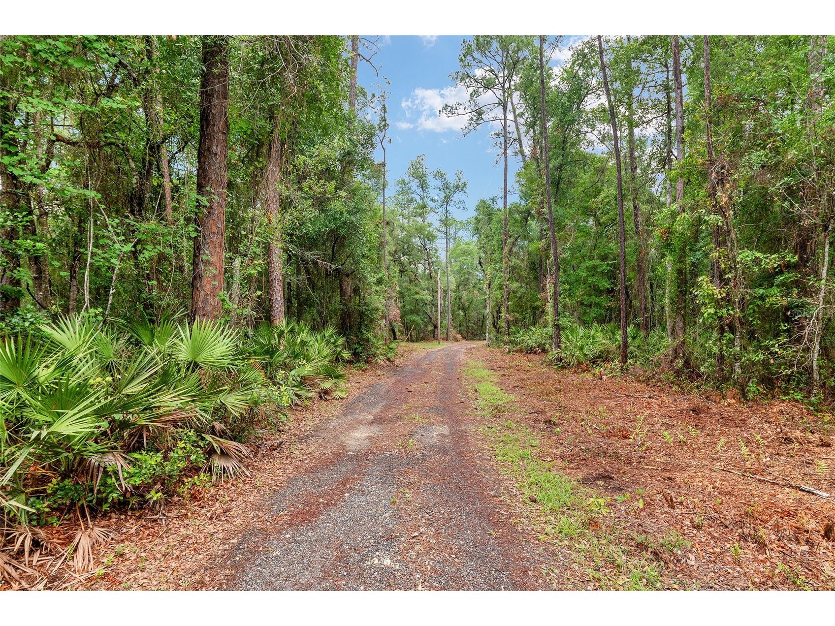 7622 SE County Road 234 Gainesville FL 32641 GC540837 image3