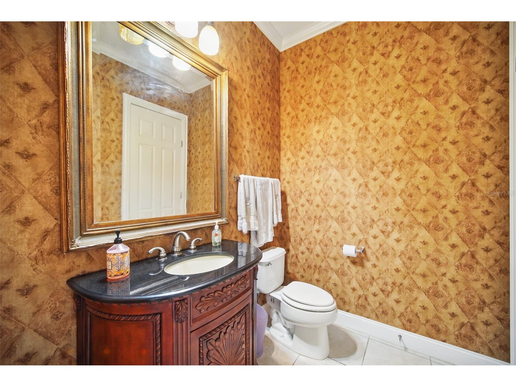 7623 Excitement Drive Reunion FL 34747 S5121573 image20