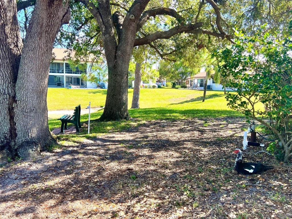 7623 Radcliffe Circle #211A Port Richey FL 34668 TB8348217 image58