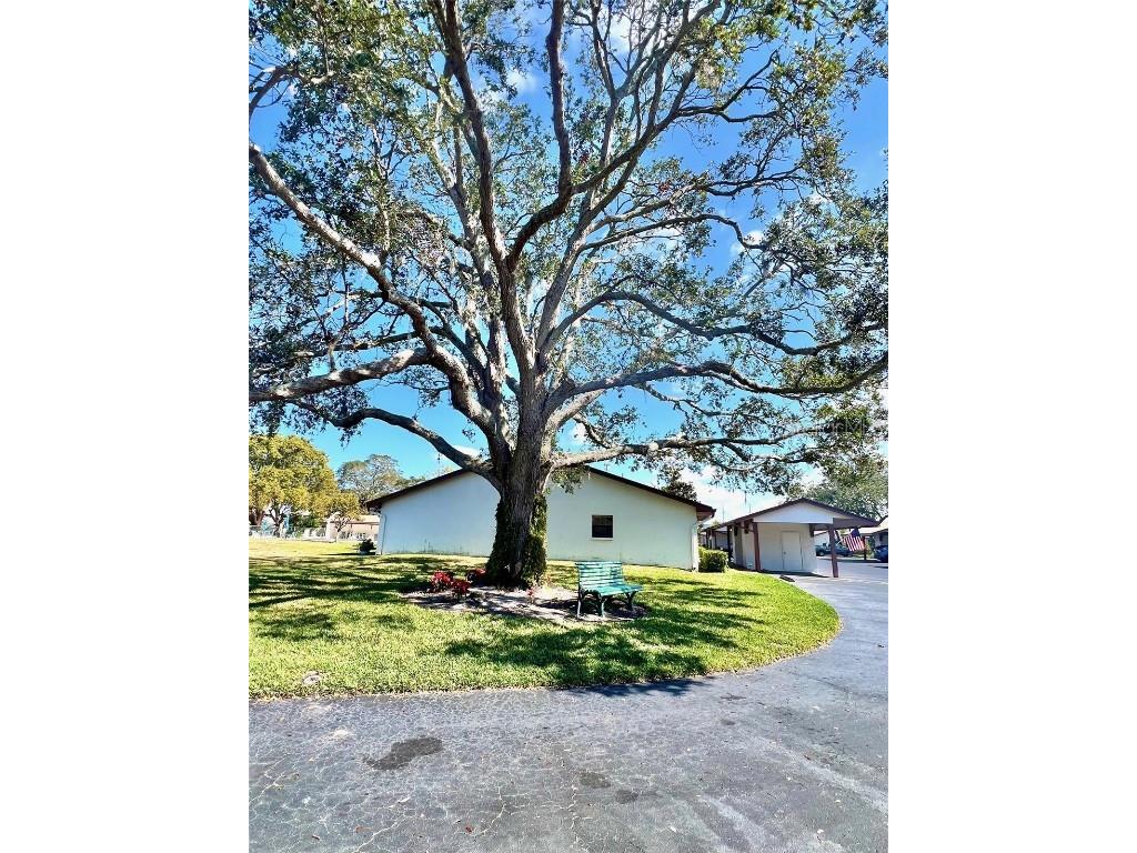 7623 Radcliffe Circle #211A Port Richey FL 34668 TB8348217 image64