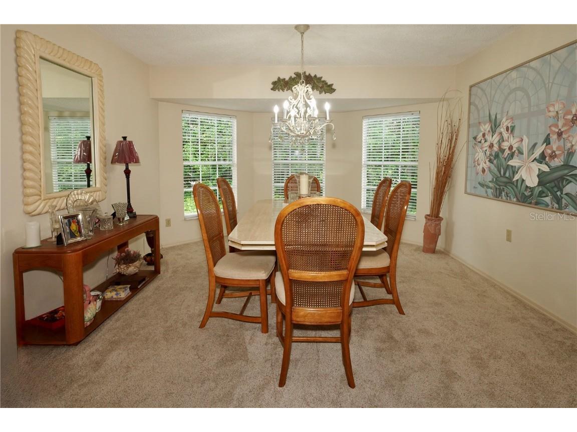 7624 Lake Forest Circle Port Richey FL 34668 TB8410090 image10