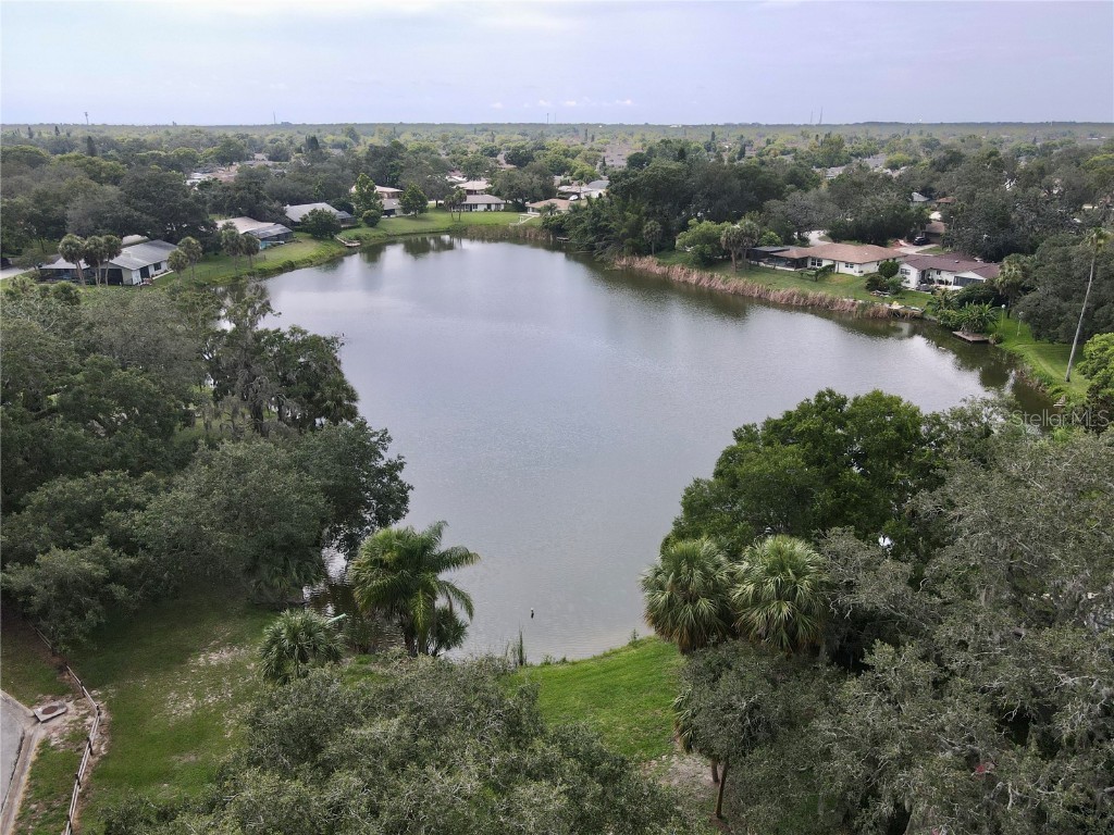 7624 Lake Forest Circle Port Richey FL 34668 TB8410090 image24