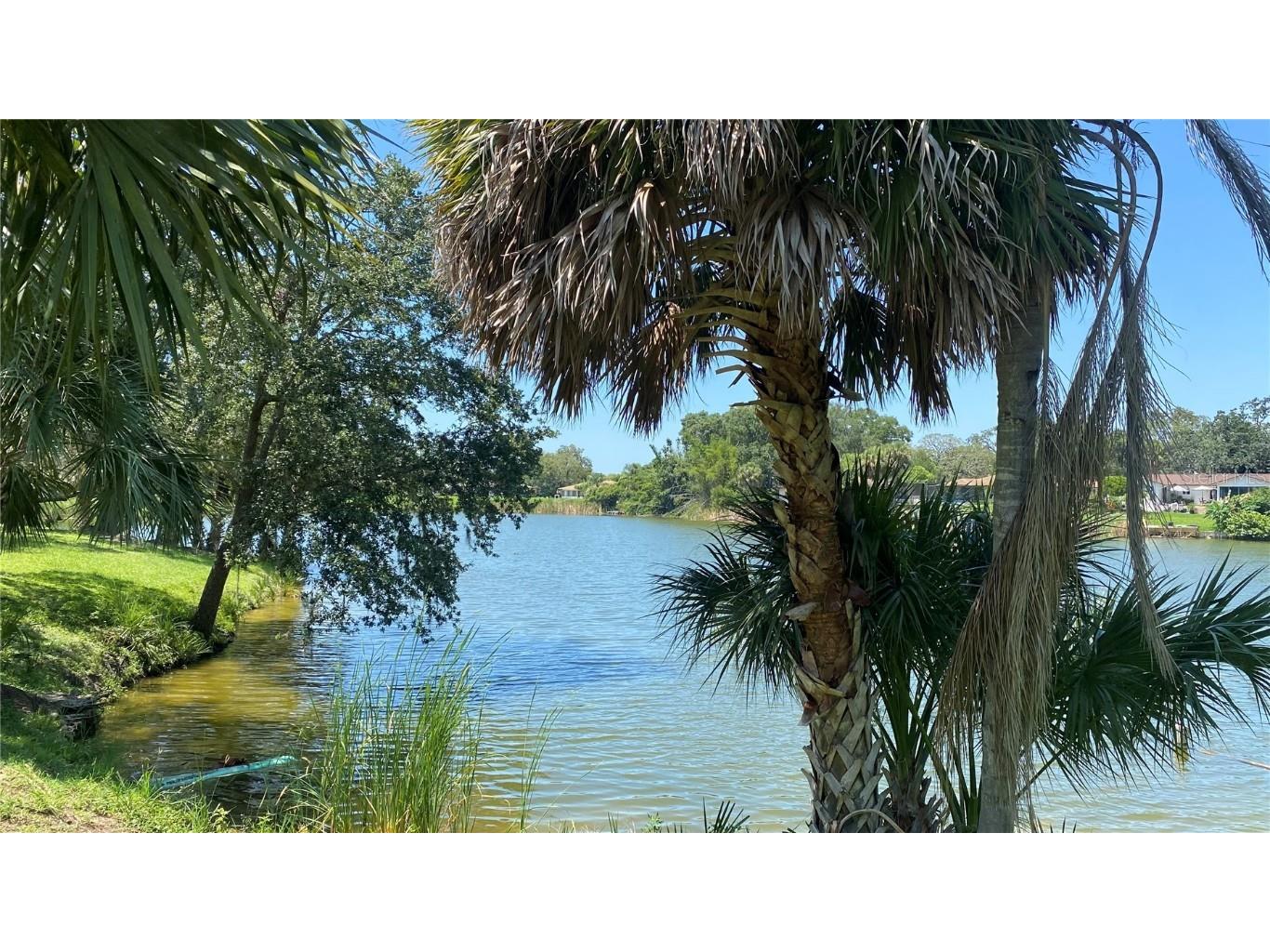 7624 Lake Forest Circle Port Richey FL 34668 TB8410090 image25