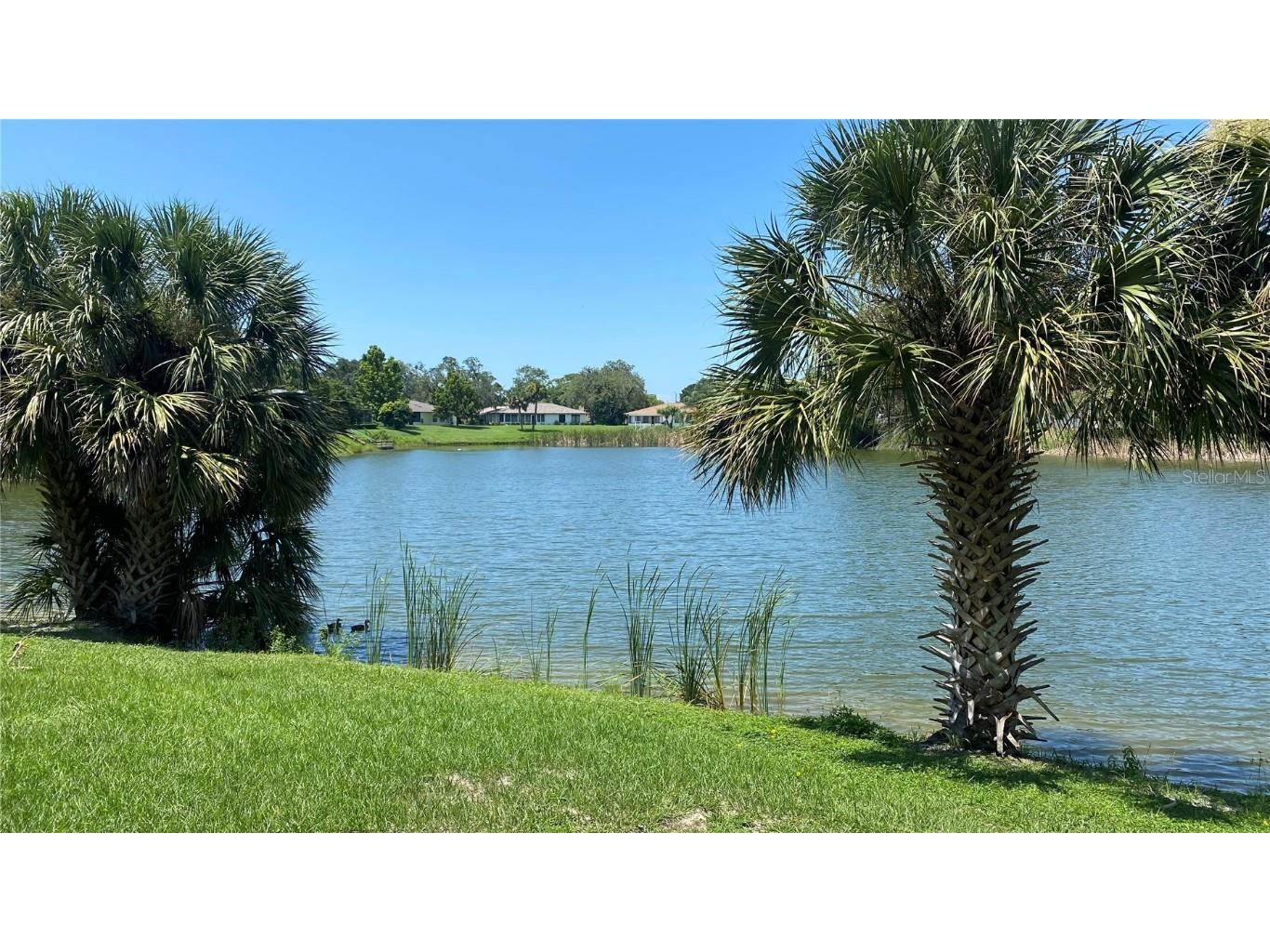 7624 Lake Forest Circle Port Richey FL 34668 TB8410090 image26