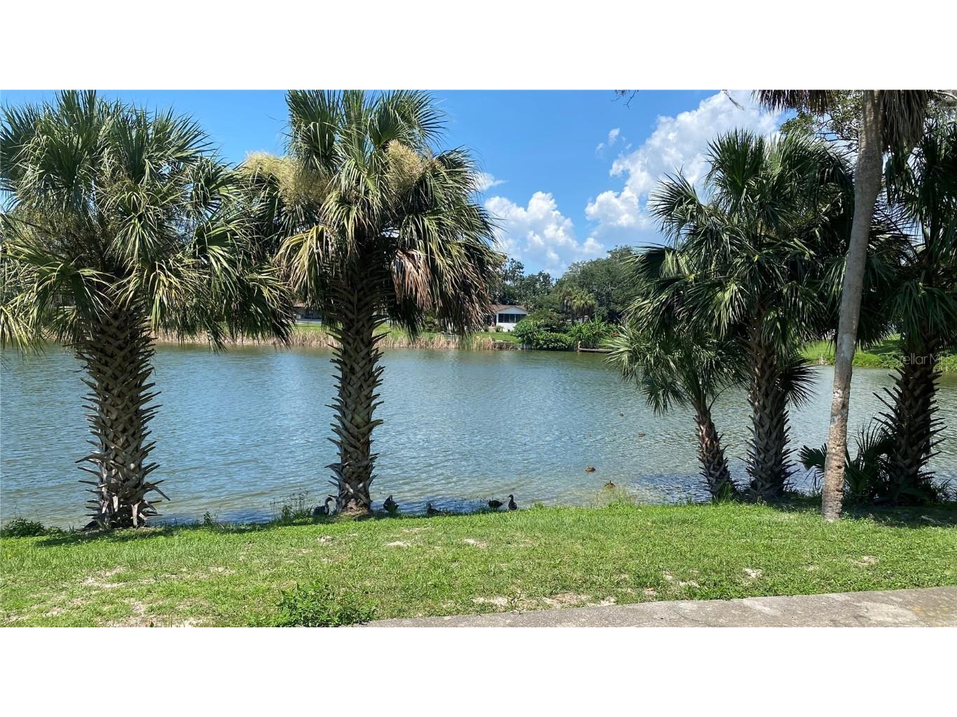 7624 Lake Forest Circle Port Richey FL 34668 TB8410090 image27