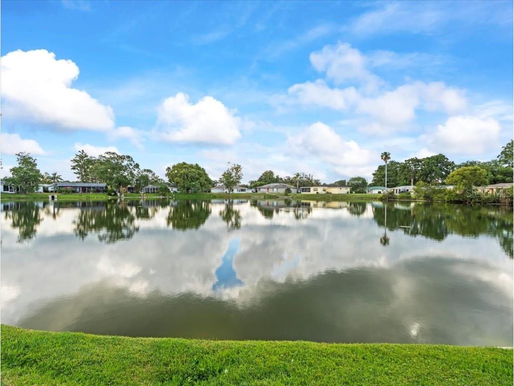 7624 Summertree Lane New Port Richey FL 34653 TB8430498 image44