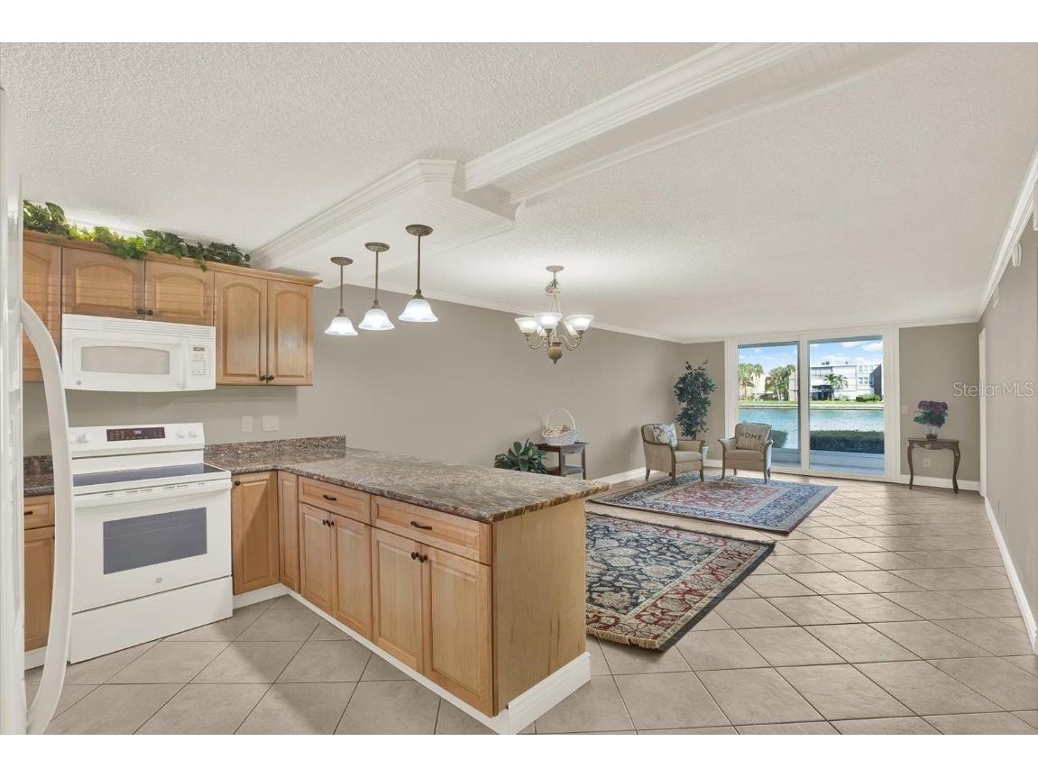 7625 Sun Island Drive S #107 South Pasadena FL 33707 TB8440693 image7