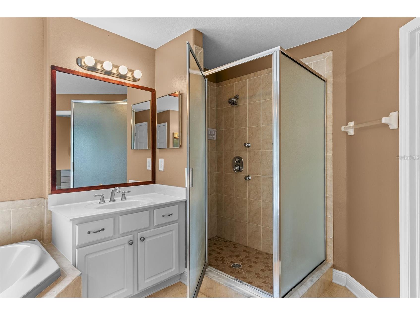 7627 Rathdown Lane Wesley Chapel FL 33544 TB8515559 image26