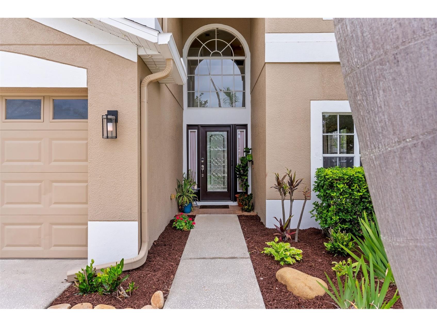 7627 Rathdown Lane Wesley Chapel FL 33544 TB8515559 image4