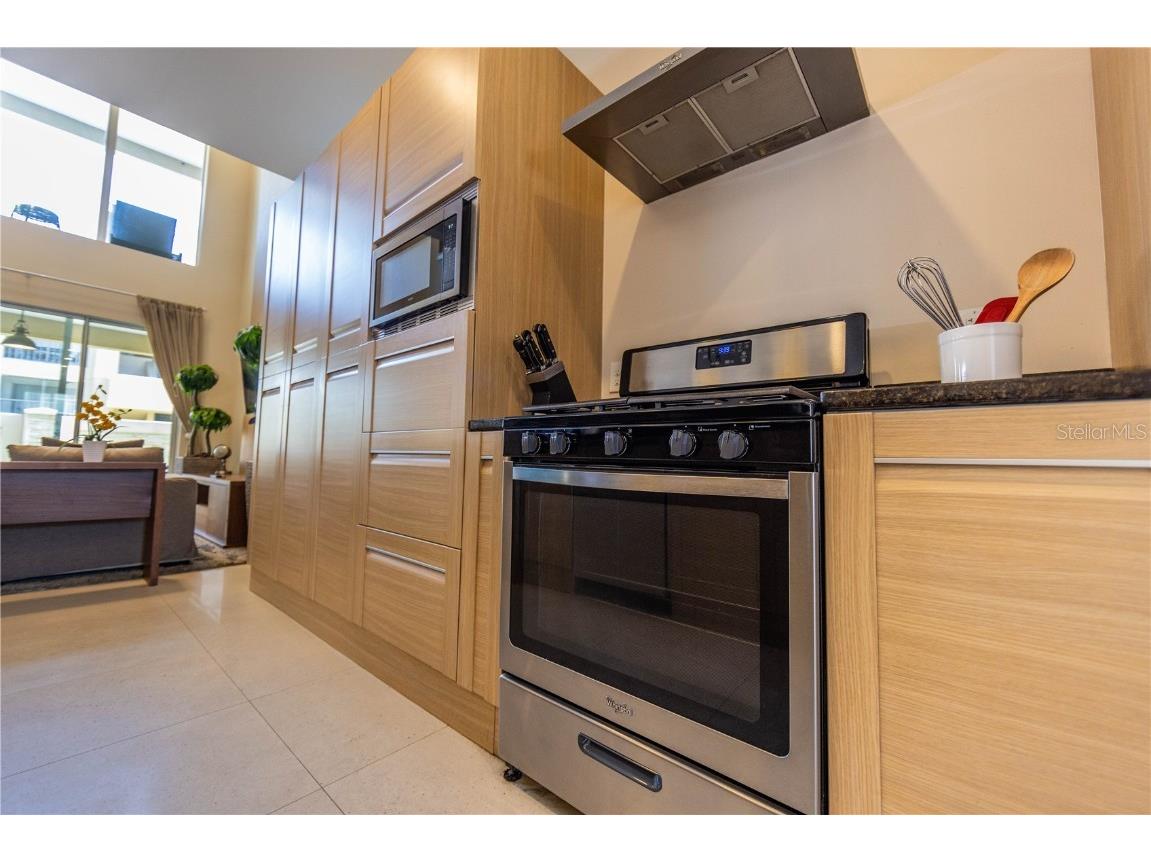 7627 Recife Drive Kissimmee FL 34747 O6322858 image12