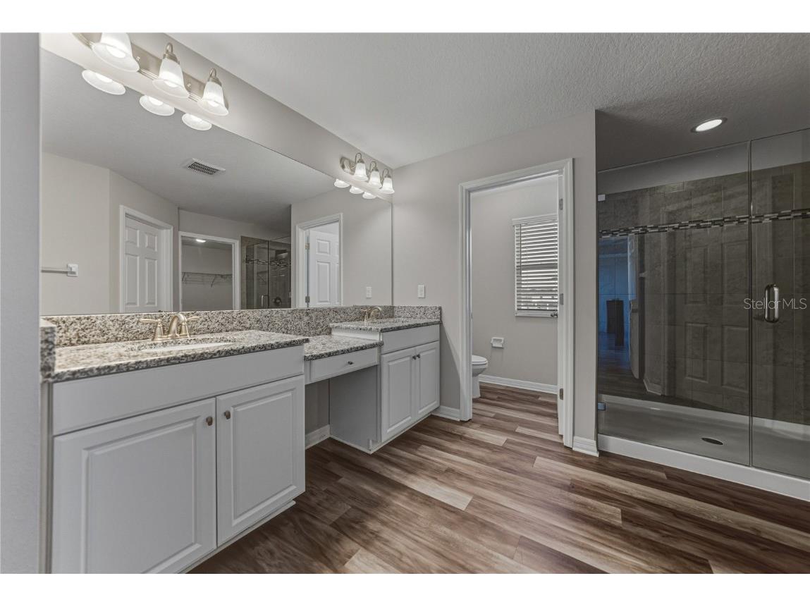 7628 Surf Reed Way Wesley Chapel FL 33545 TB8445129 image34