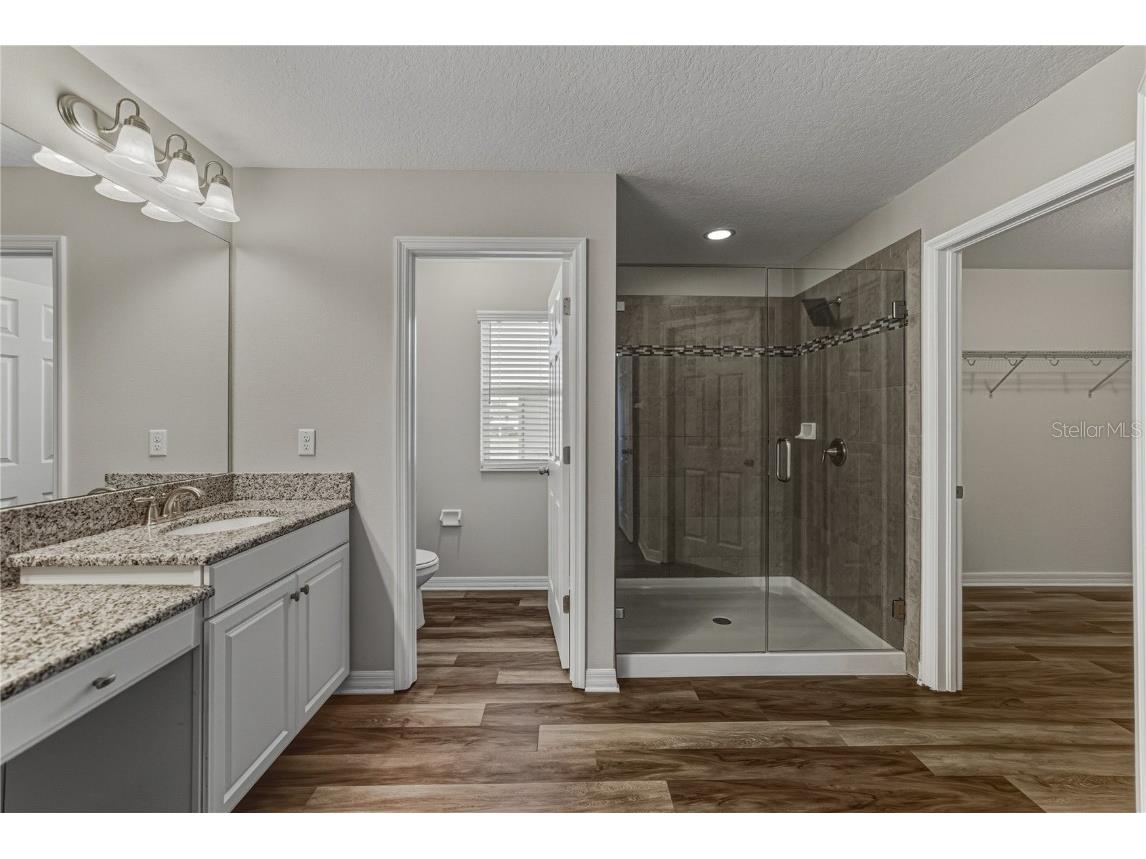 7628 Surf Reed Way Wesley Chapel FL 33545 TB8445129 image35