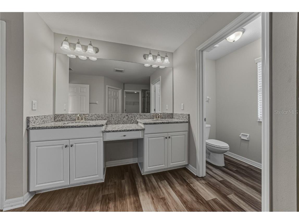 7628 Surf Reed Way Wesley Chapel FL 33545 TB8445129 image37