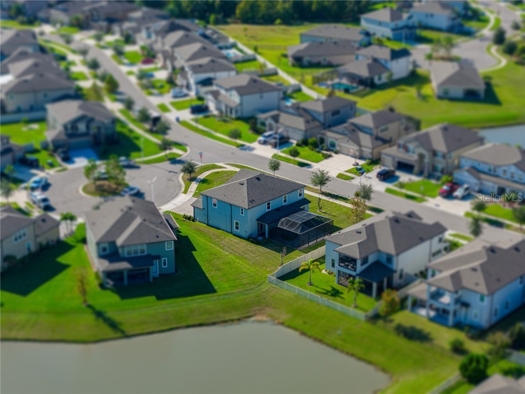 7628 Surf Reed Way Wesley Chapel FL 33545 TB8445129 image50