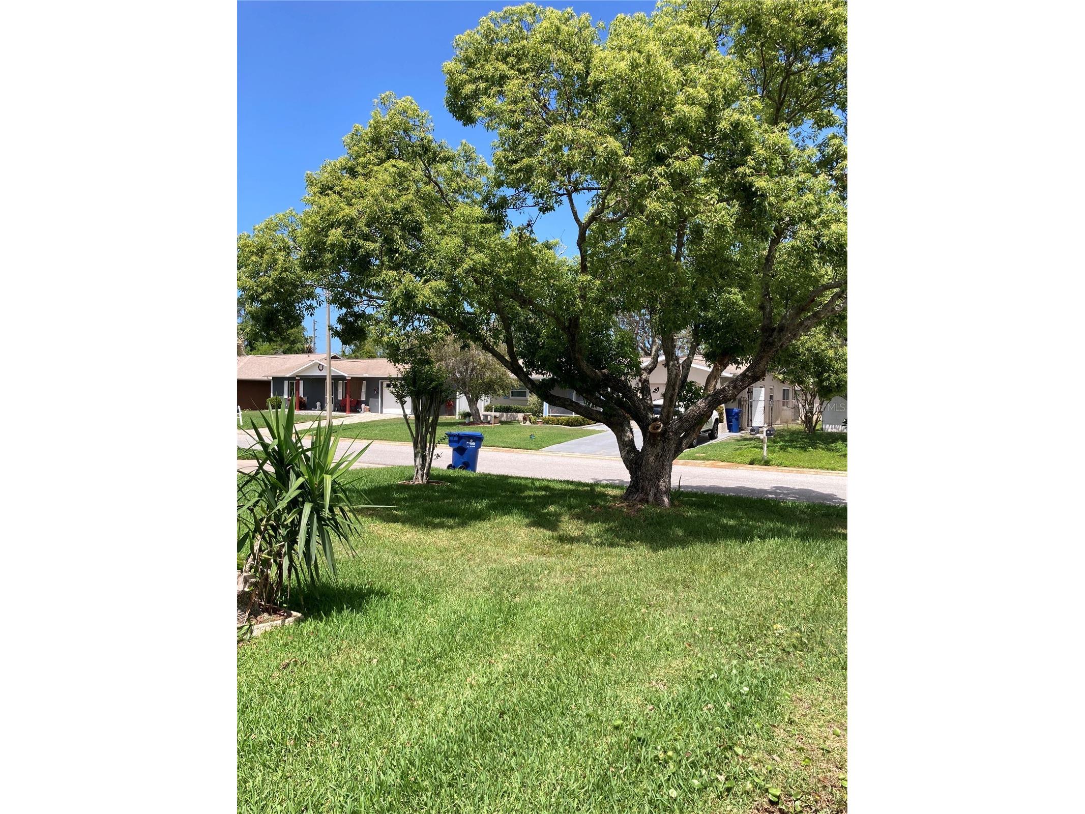 7628 Valley Court New Port Richey FL 34653 TB8467893 image11