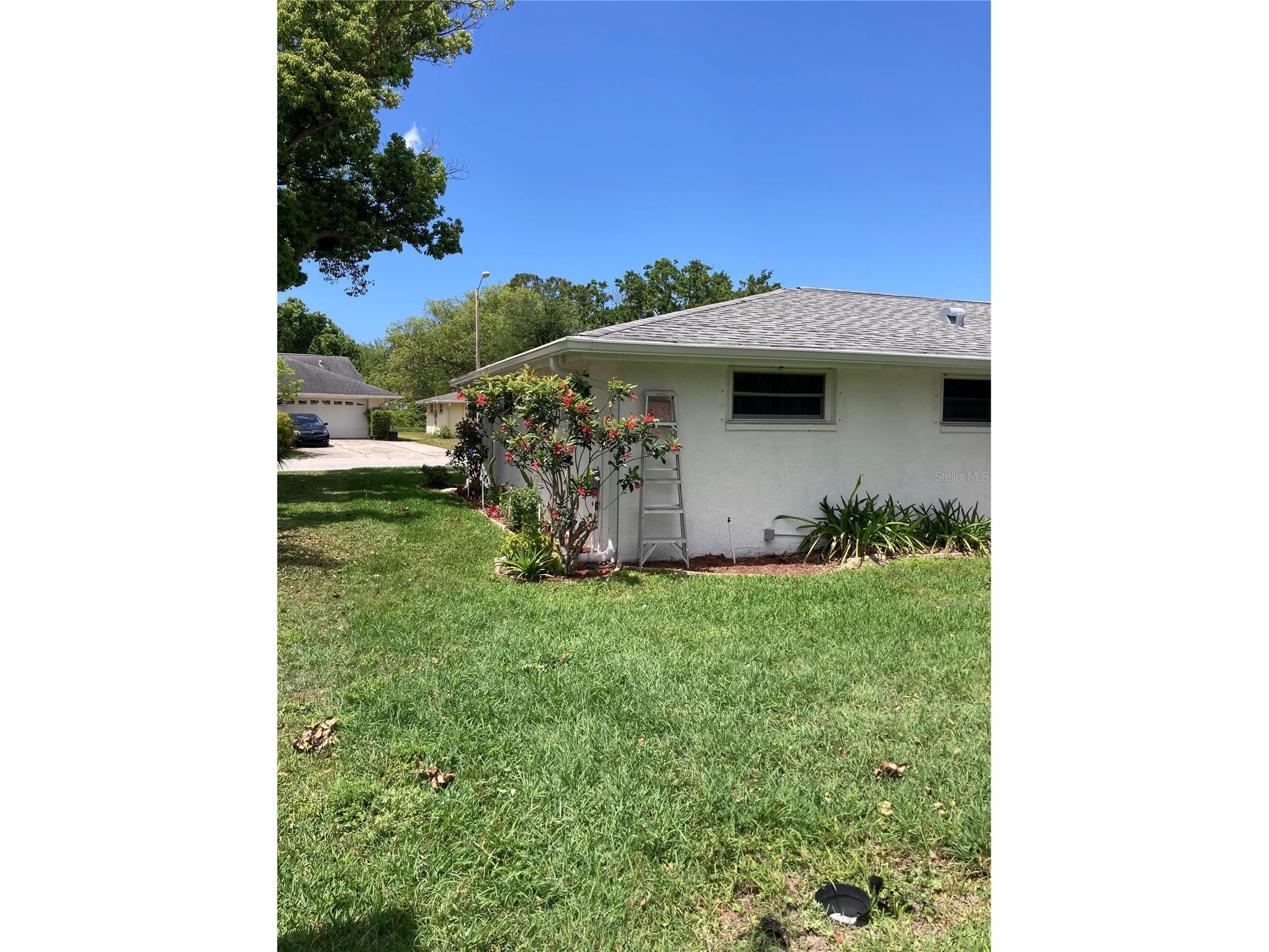 7628 Valley Court New Port Richey FL 34653 TB8467893 image4