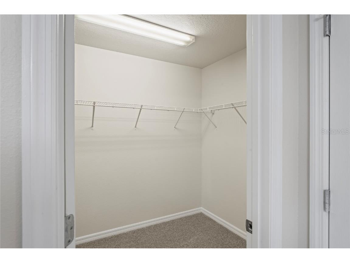 7628 Yale Harbor Drive Wesley Chapel FL 33545 TB8446510 image16