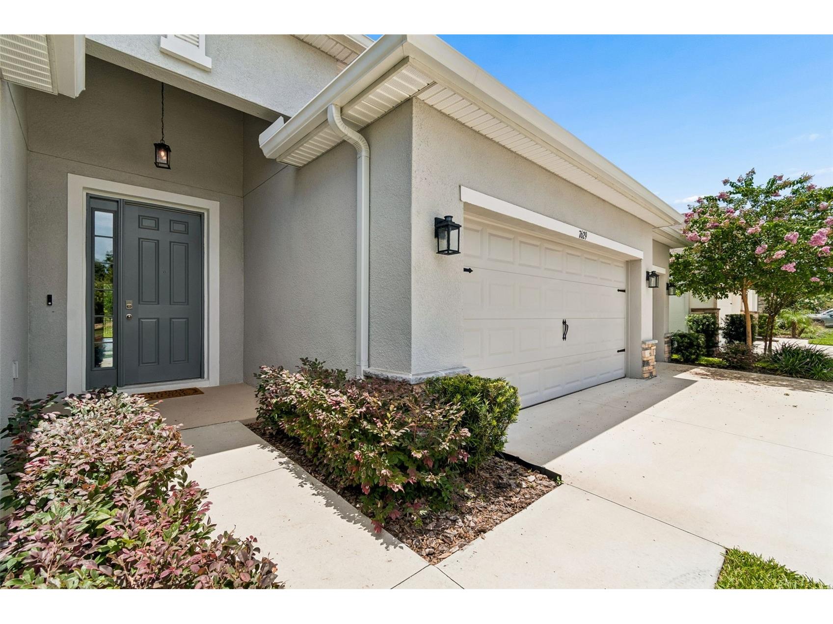 7629 Broad River Avenue Land O Lakes FL 34638 TB8517740 image21
