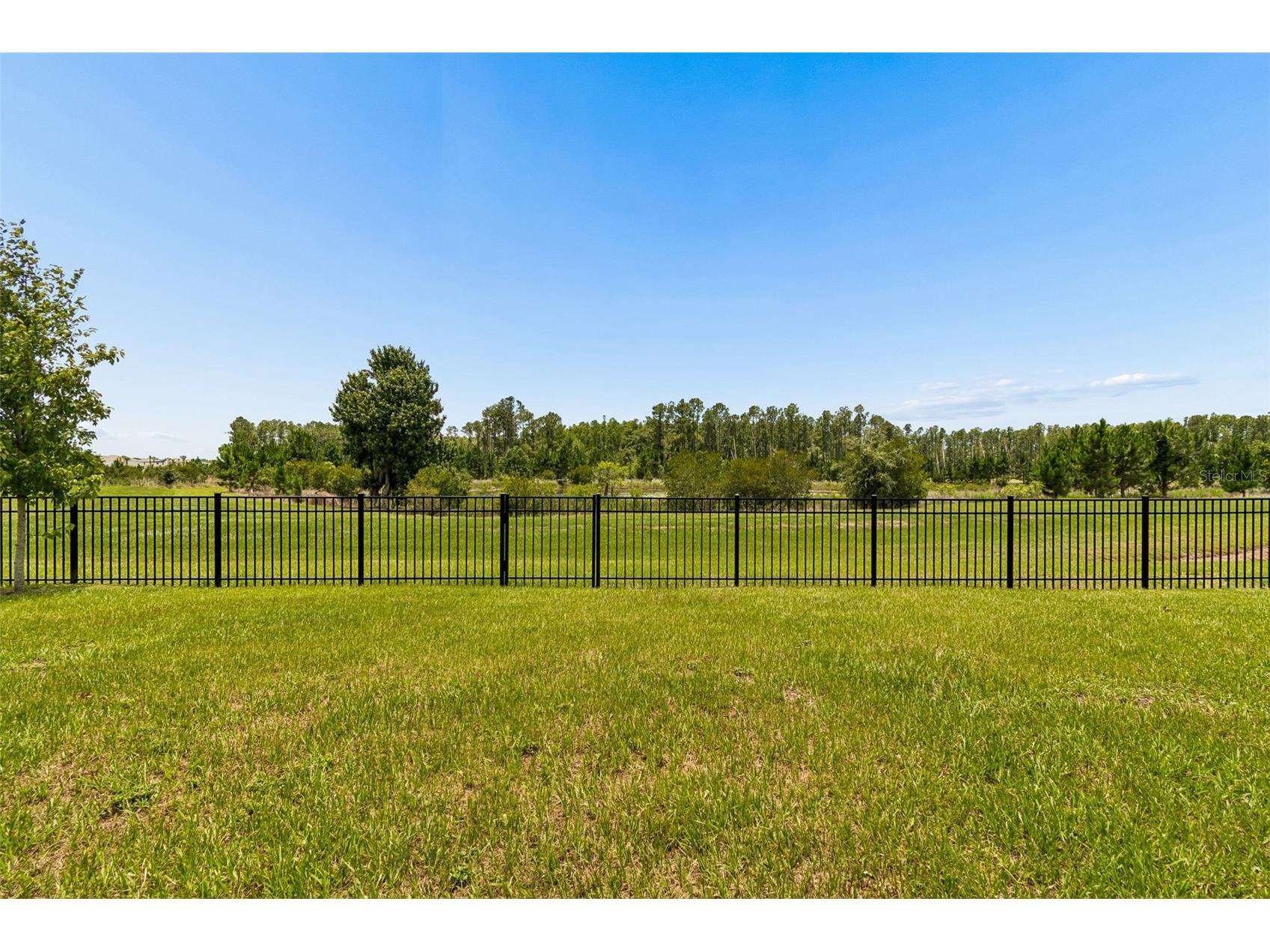 7629 Broad River Avenue Land O Lakes FL 34638 TB8517740 image3