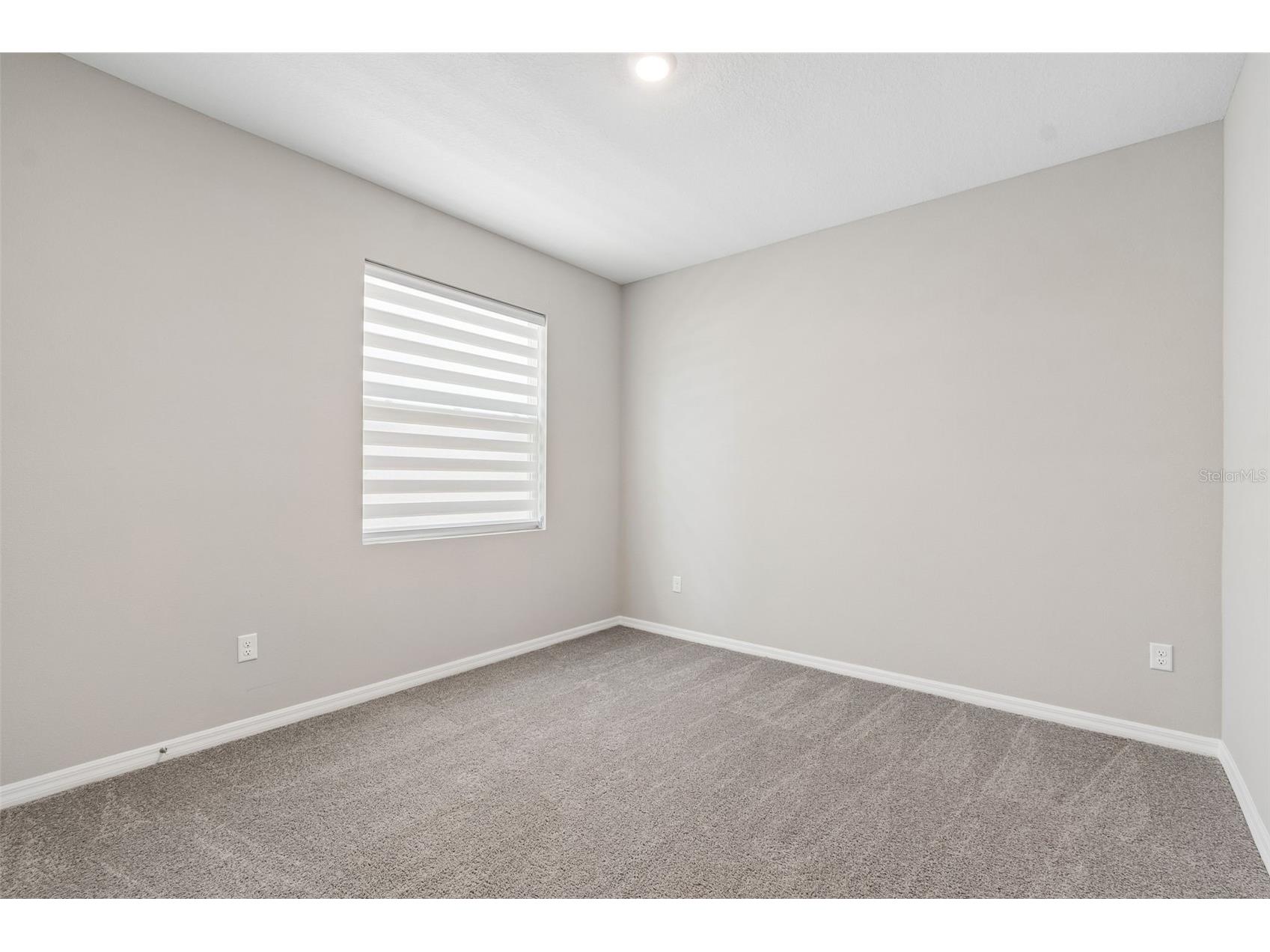 7629 Broad River Avenue Land O Lakes FL 34638 TB8517740 image46