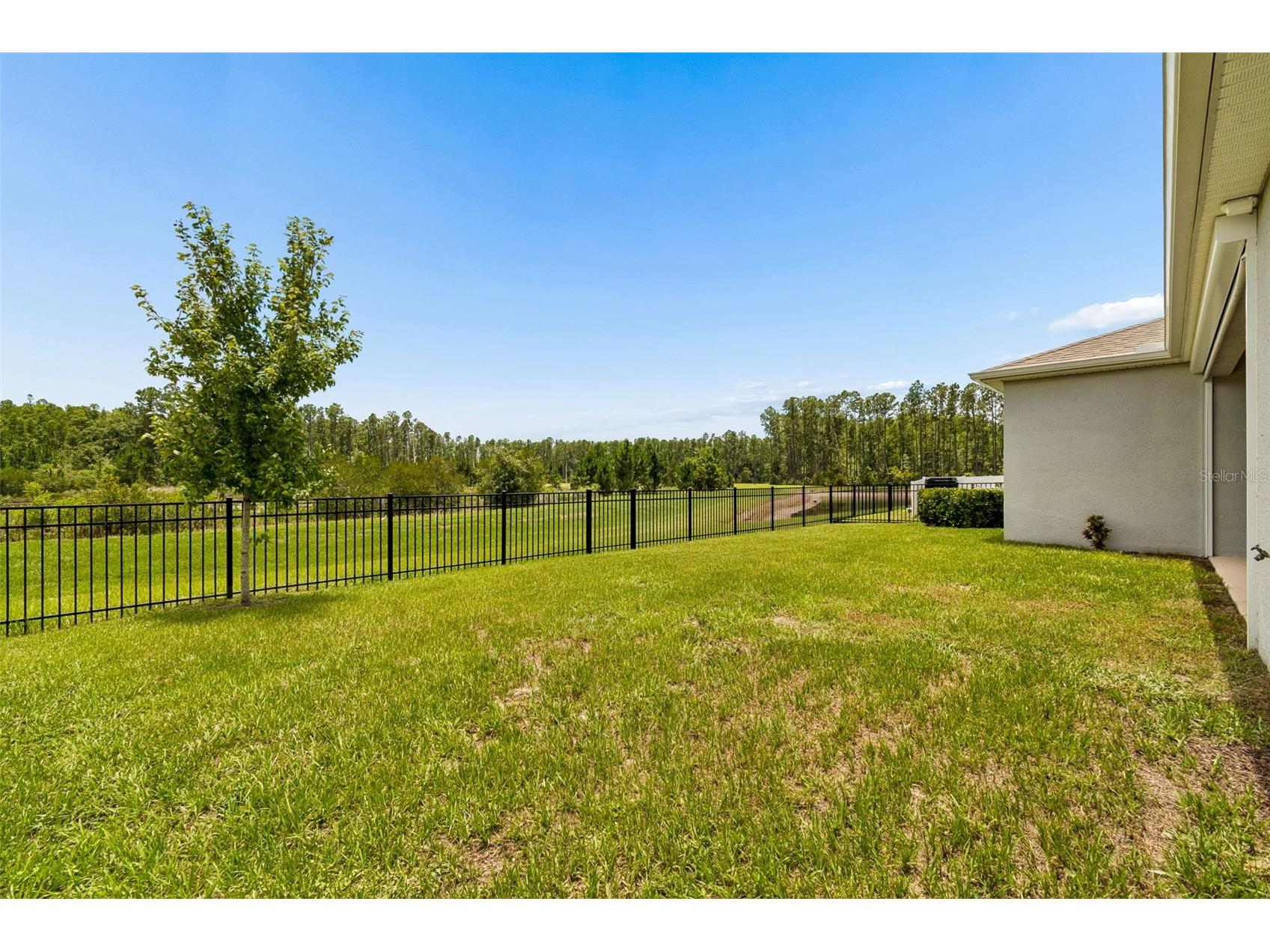 7629 Broad River Avenue Land O Lakes FL 34638 TB8517740 image62