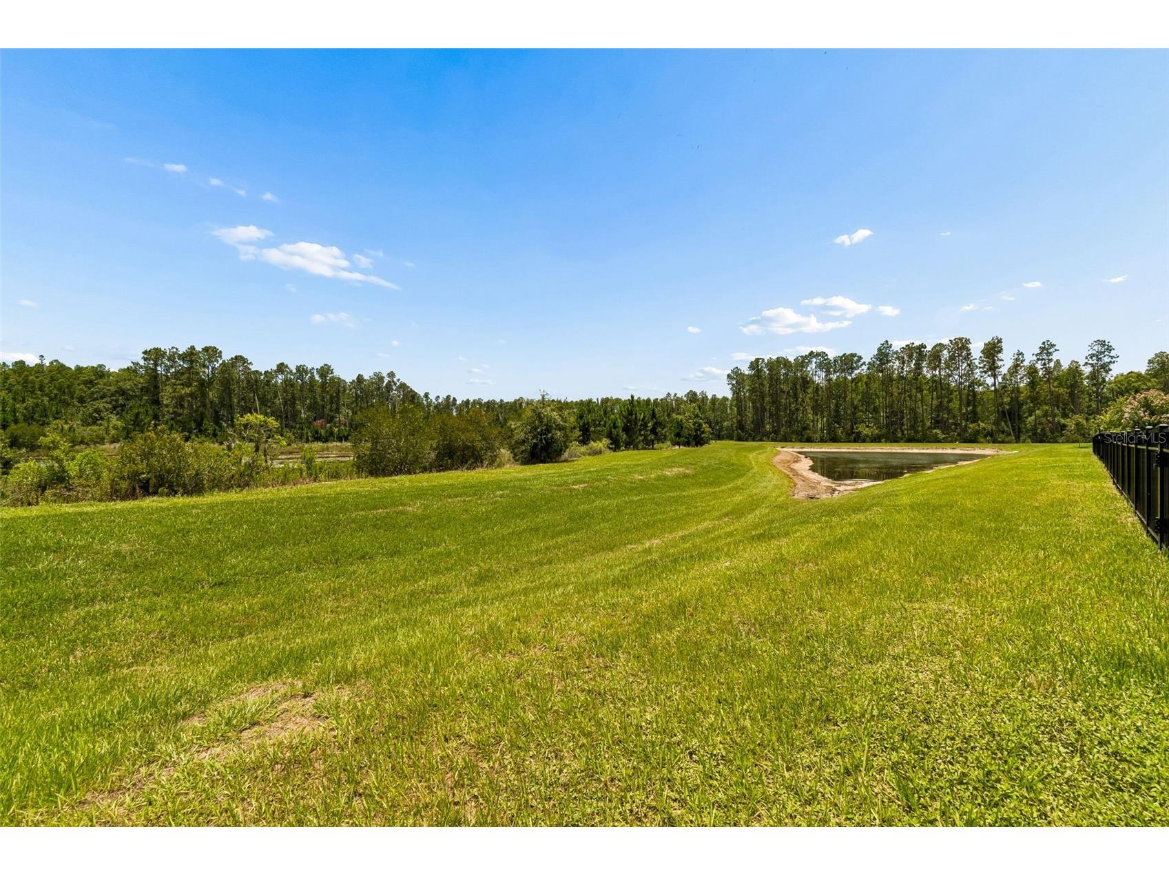 7629 Broad River Avenue Land O Lakes FL 34638 TB8517740 image64