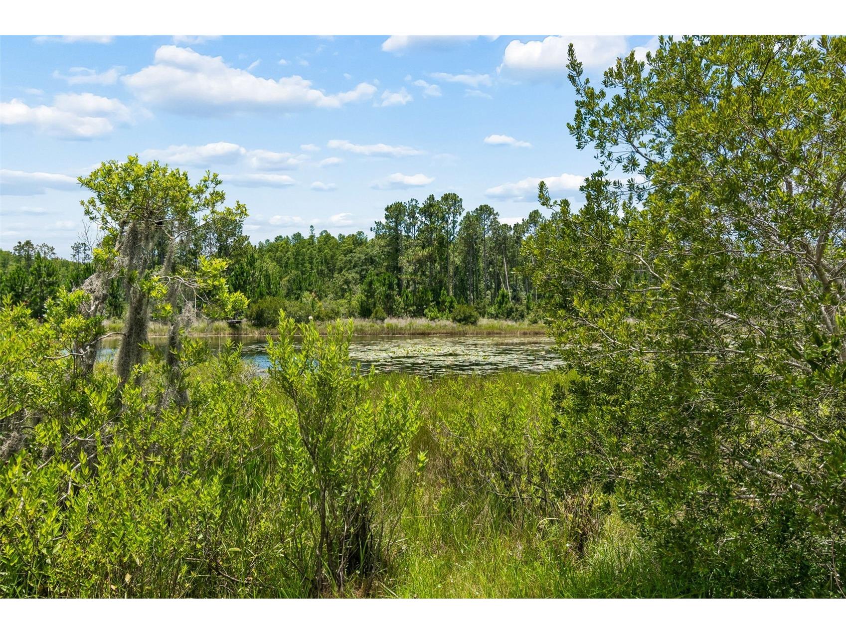 7629 Broad River Avenue Land O Lakes FL 34638 TB8517740 image65