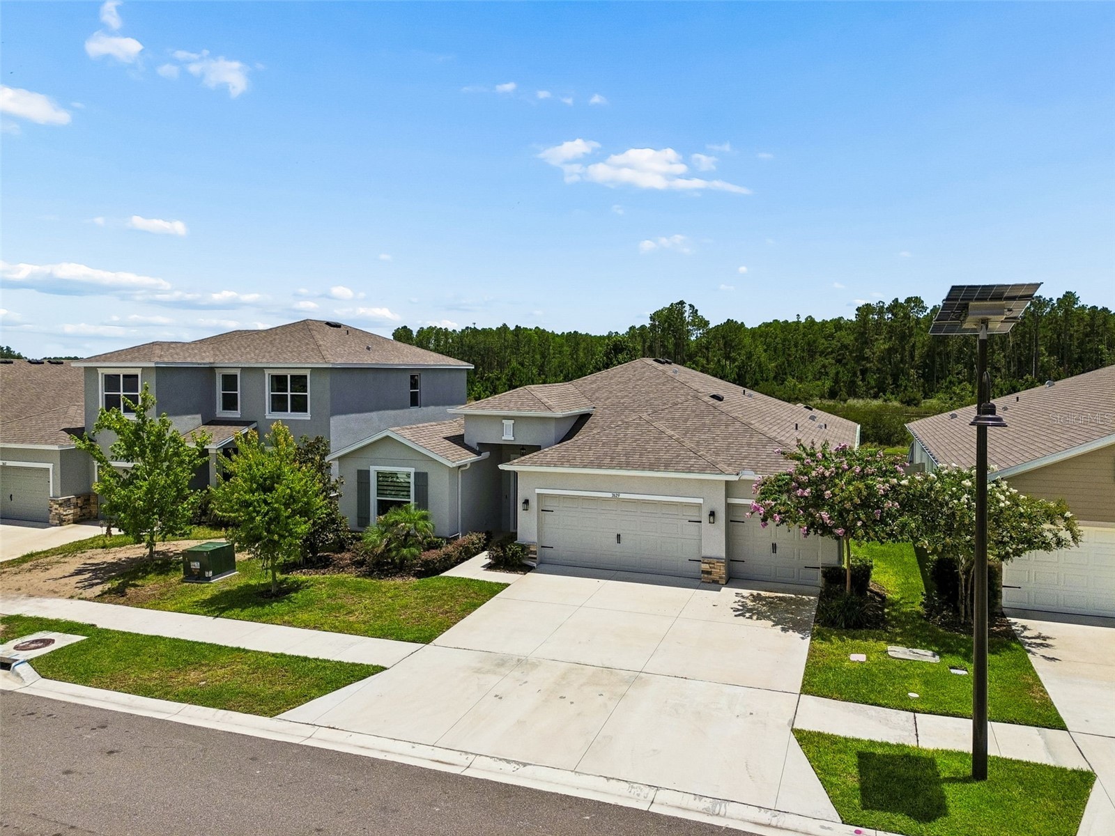 7629 Broad River Avenue Land O Lakes FL 34638 TB8517740 image77