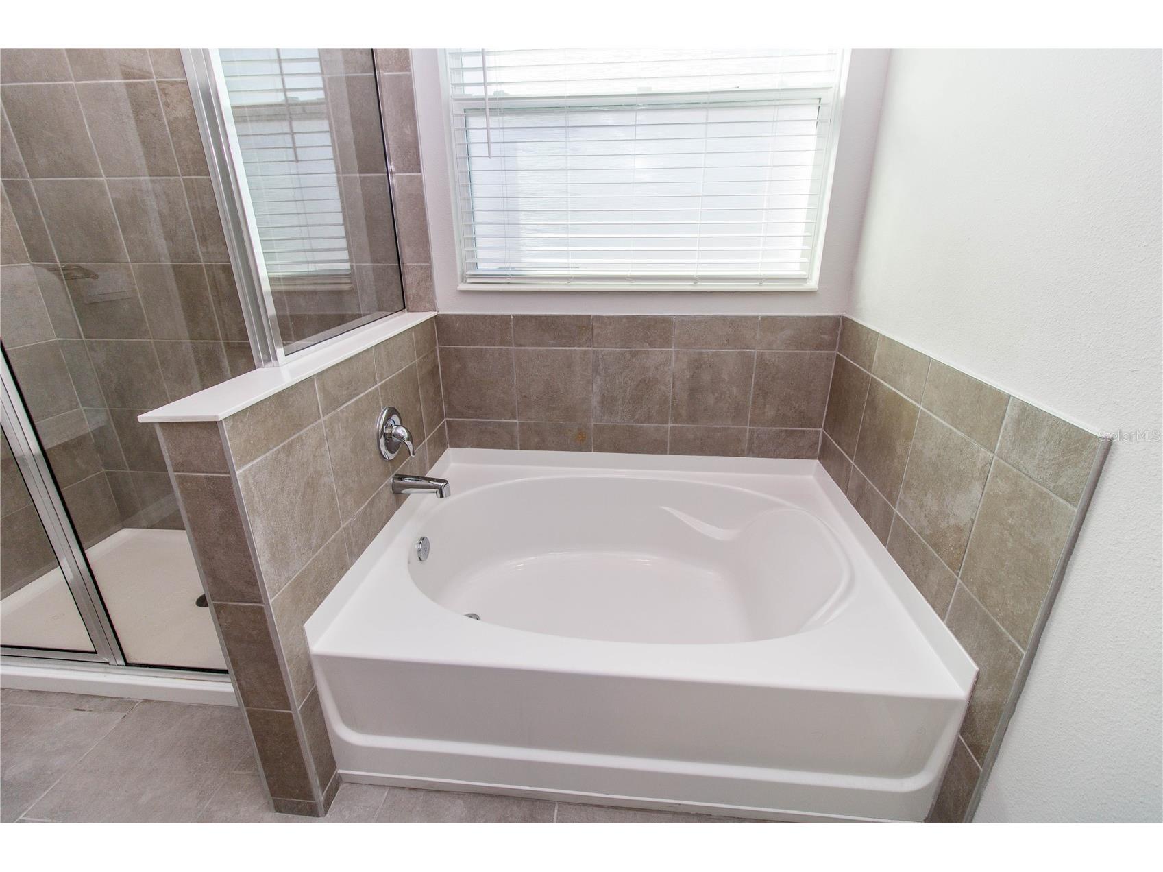 7629 Broad River Avenue Land O Lakes FL 34638 W7881422 image18