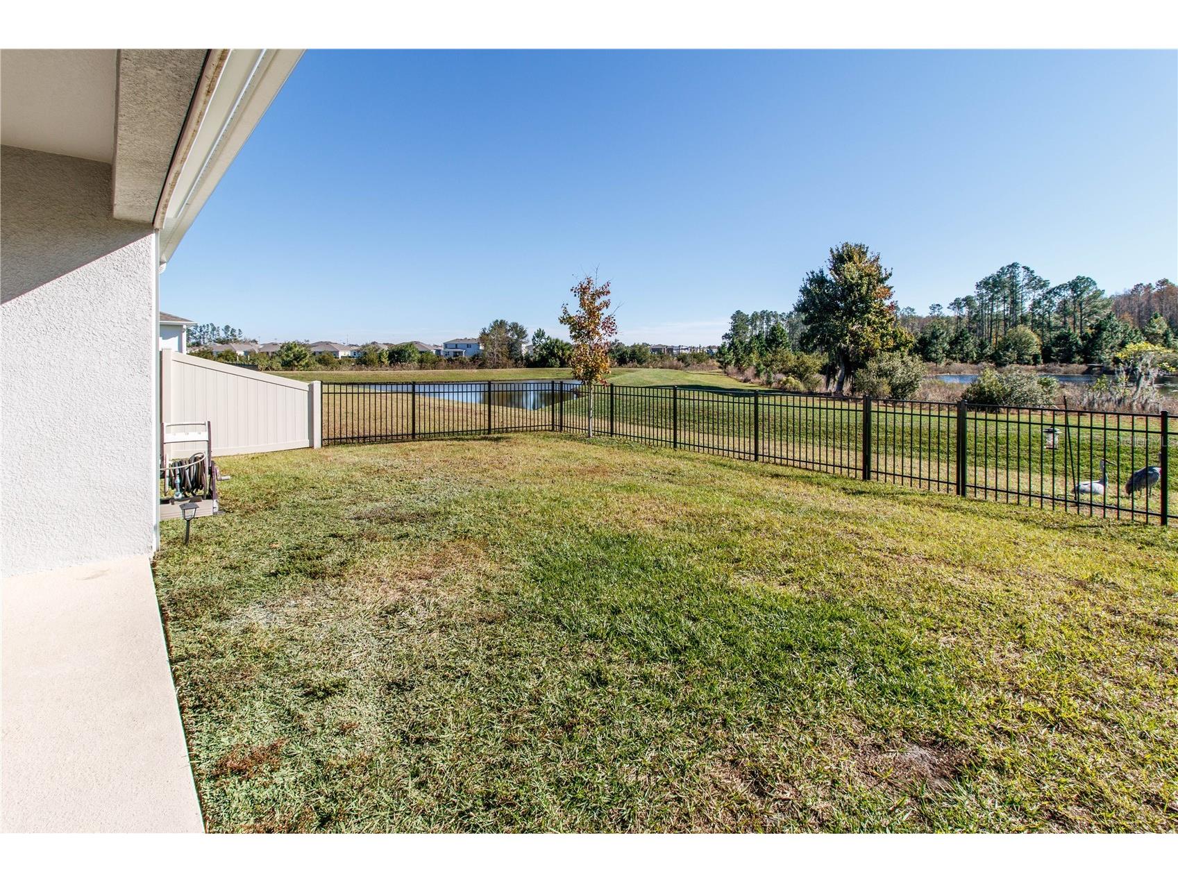 7629 Broad River Avenue Land O Lakes FL 34638 W7881422 image33