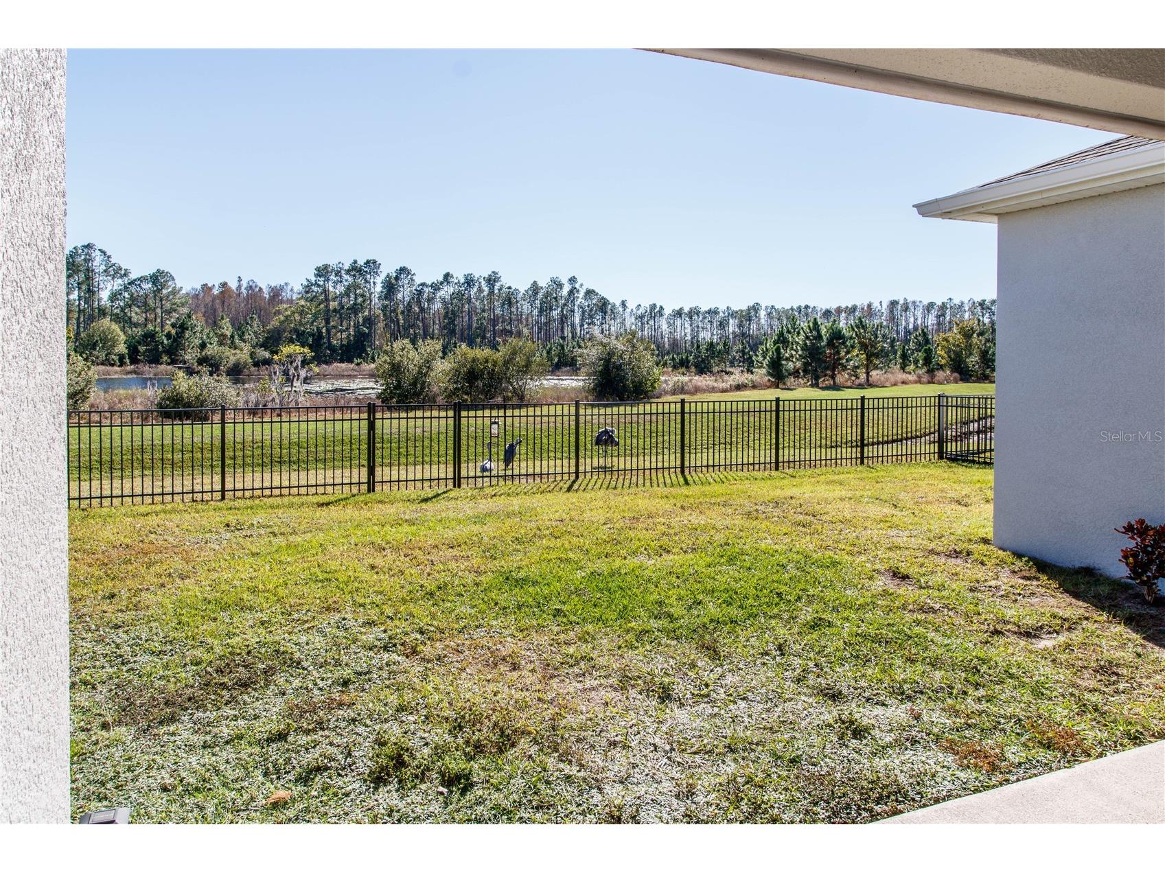 7629 Broad River Avenue Land O Lakes FL 34638 W7881422 image34