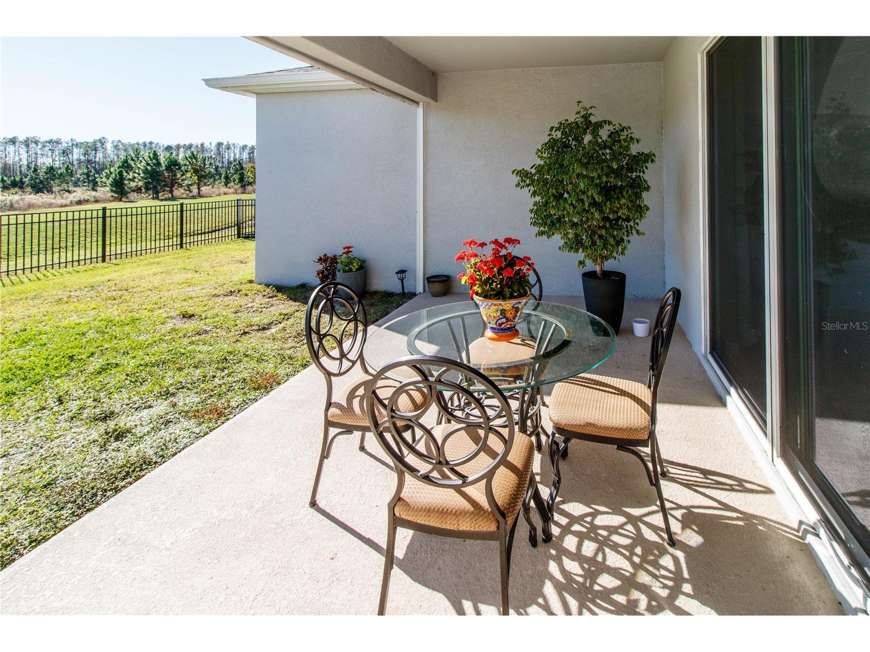 7629 Broad River Avenue Land O Lakes FL 34638 W7881422 image35