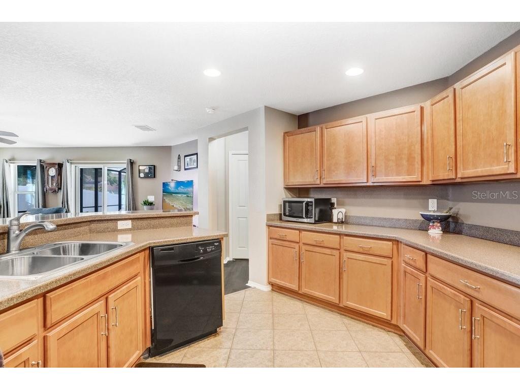 7629 Tangle Rush Drive Gibsonton FL 33534 TB8474661 image14