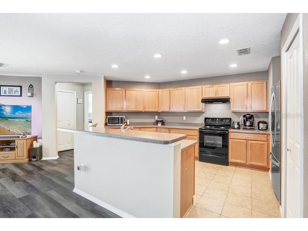 7629 Tangle Rush Drive Gibsonton FL 33534 TB8474661 image15