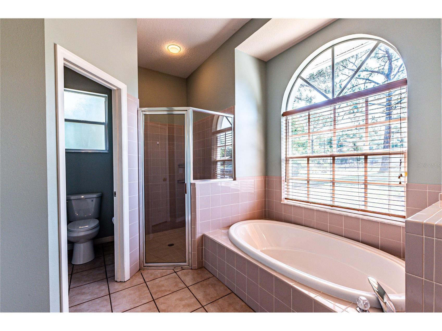 7629 Westpoint Drive Wesley Chapel FL 33544 TB8509602 image25