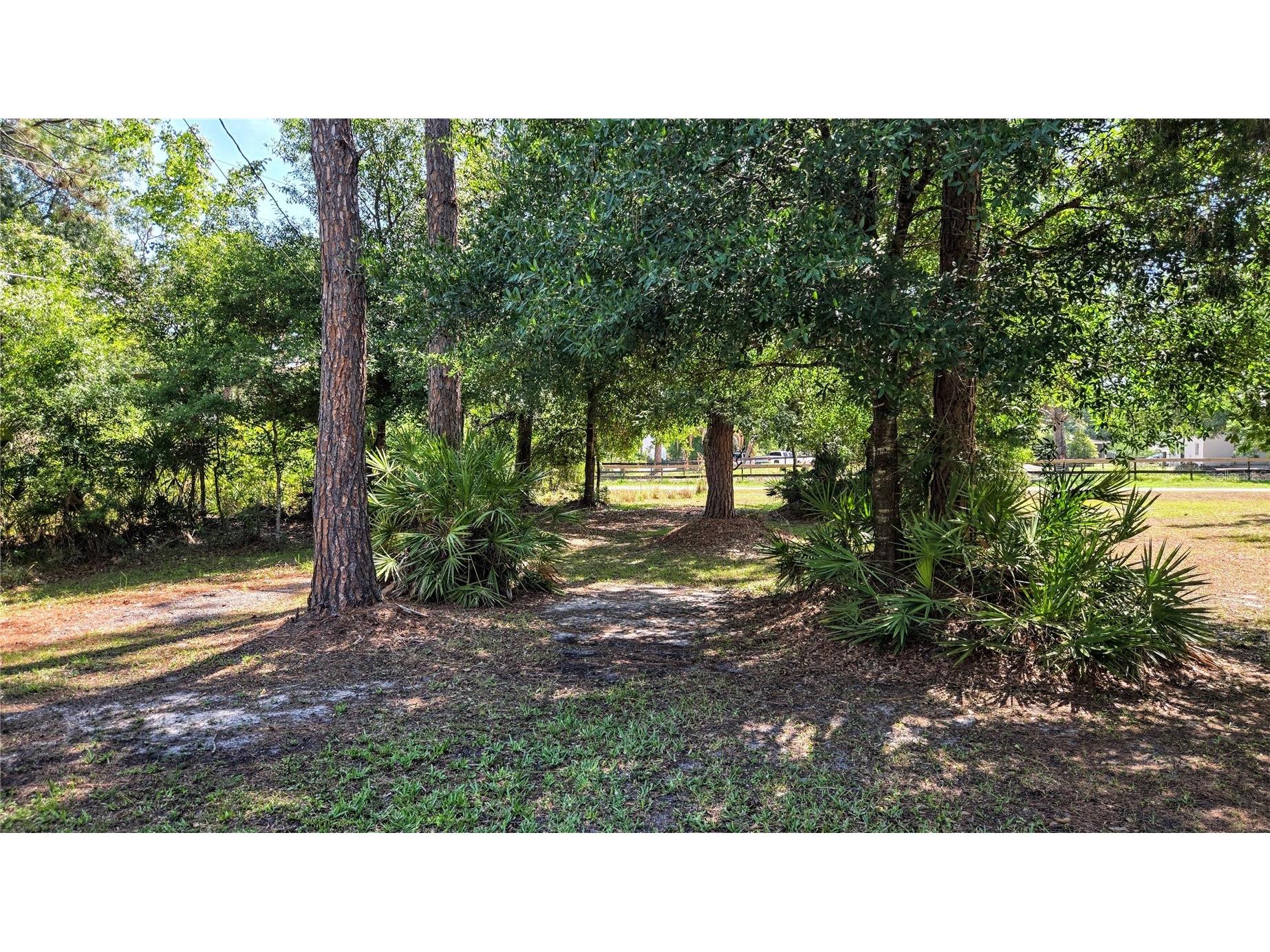 7629 Westpoint Drive Wesley Chapel FL 33544 TB8509602 image62