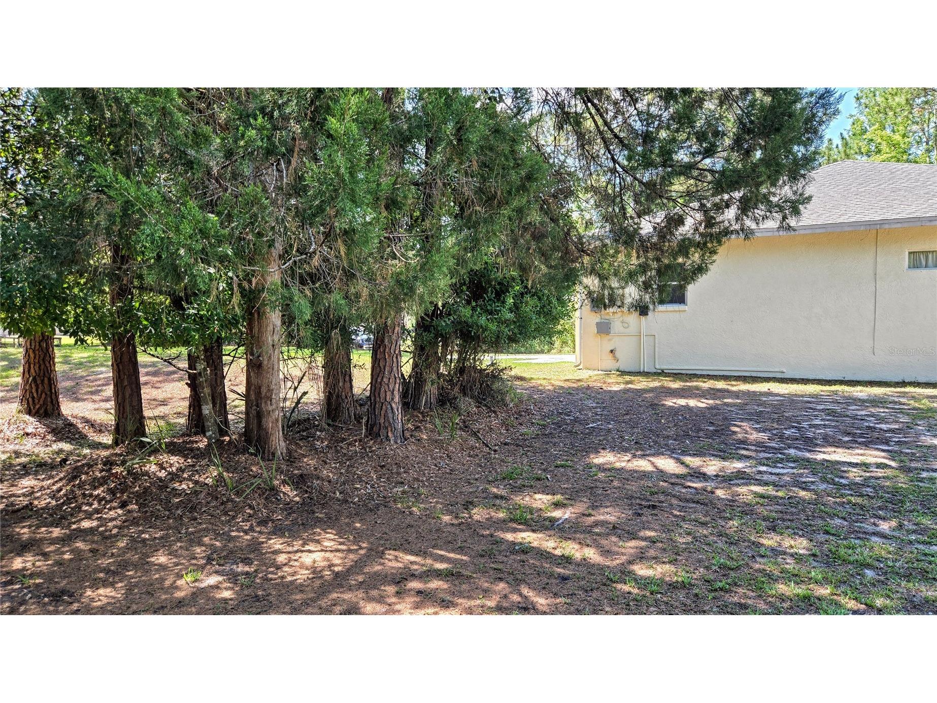 7629 Westpoint Drive Wesley Chapel FL 33544 TB8509602 image70