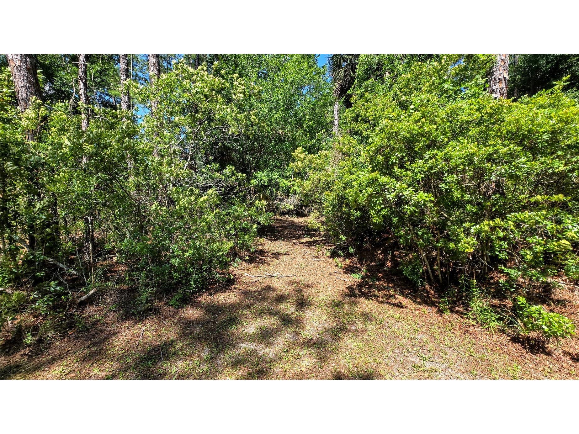 7629 Westpoint Drive Wesley Chapel FL 33544 TB8509602 image75