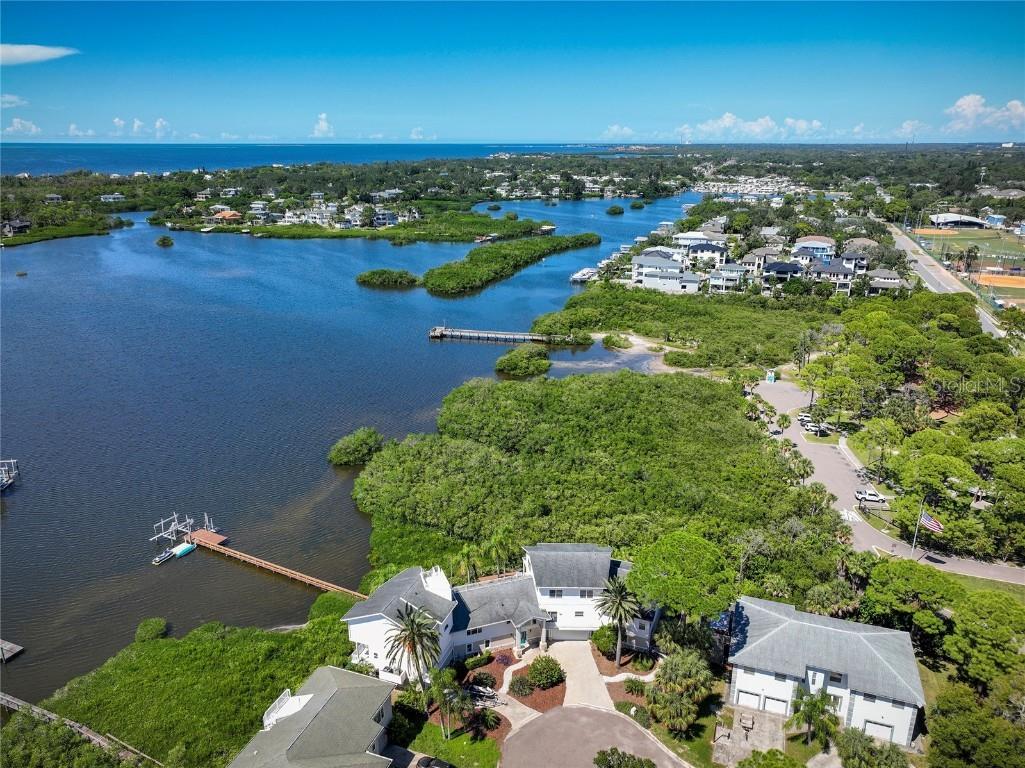 763 Jacqueline Lane Palm Harbor FL 34683 - SUTHERLAND BAYOU TB8429416 image5