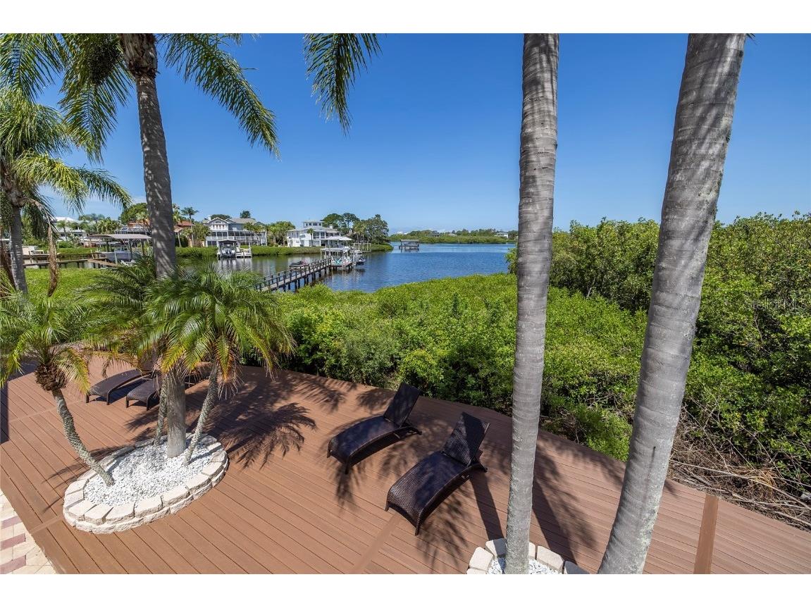 763 Jacqueline Lane Palm Harbor FL 34683 - SUTHERLAND BAYOU TB8429416 image65