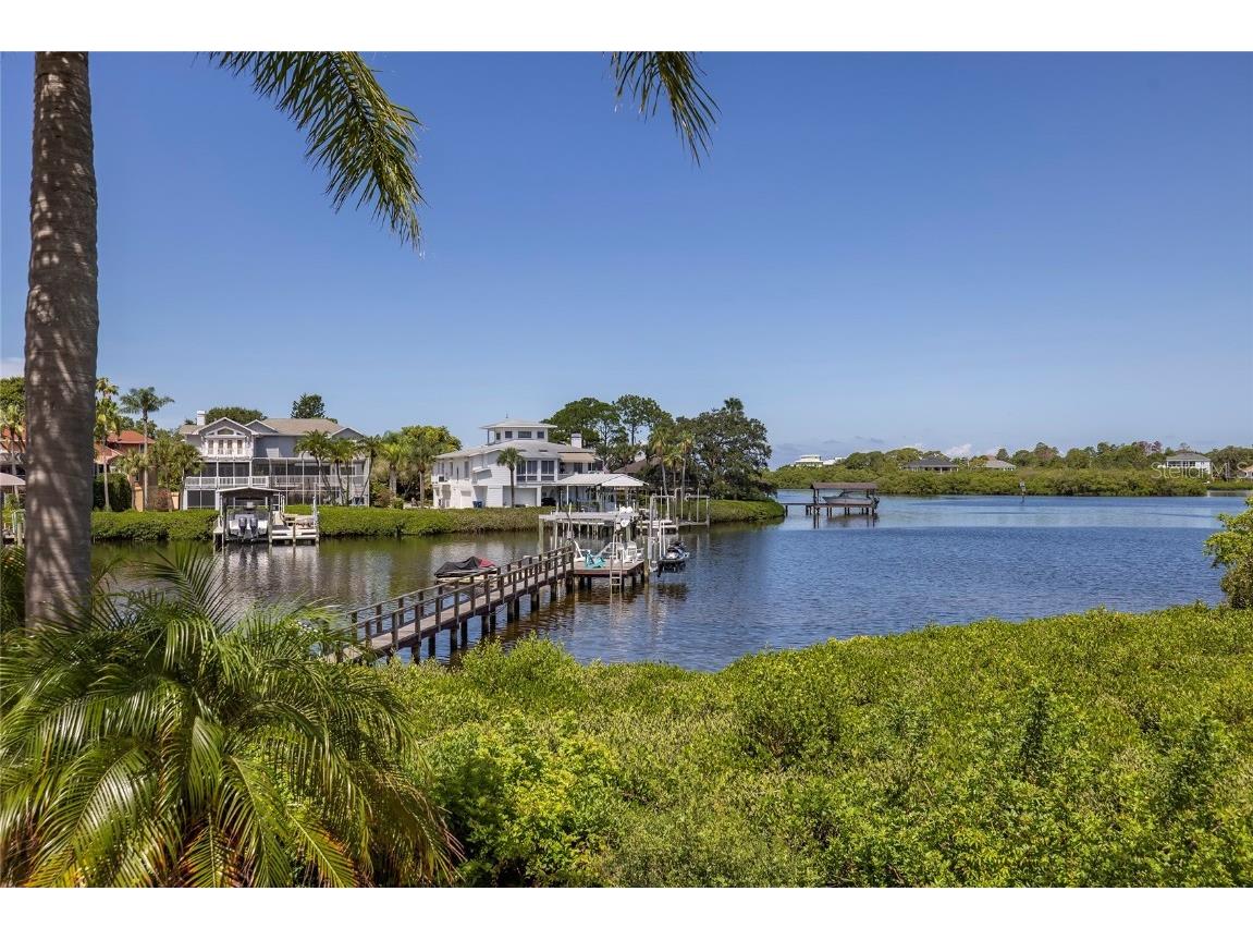 763 Jacqueline Lane Palm Harbor FL 34683 - SUTHERLAND BAYOU TB8429416 image66