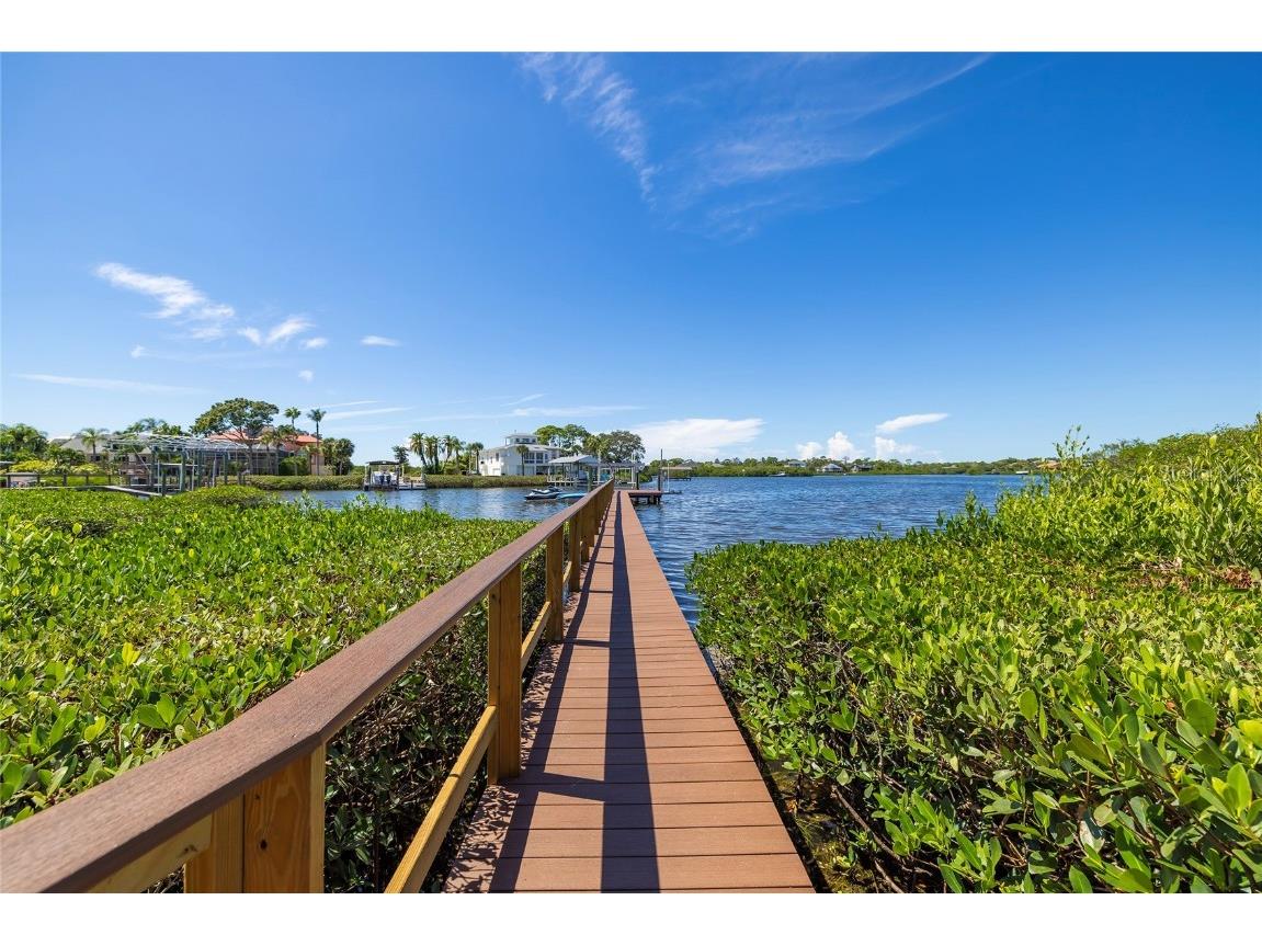 763 Jacqueline Lane Palm Harbor FL 34683 - SUTHERLAND BAYOU TB8429416 image78